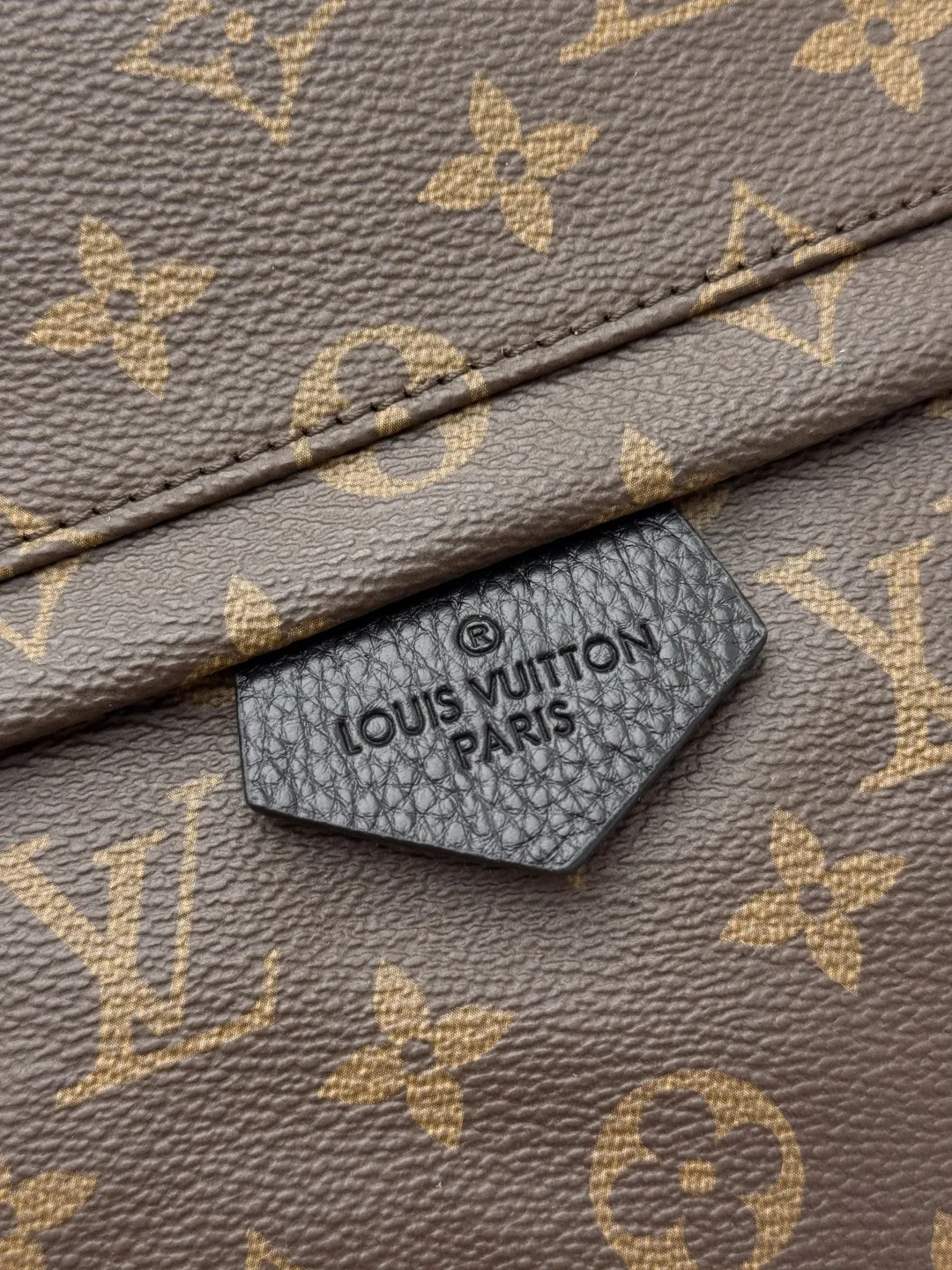 Louis Vuitton Palm Springs MM M44874 - 图片 7