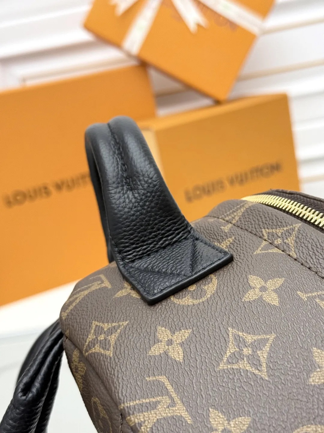 Louis Vuitton Palm Springs MM M44874 - 图片 8