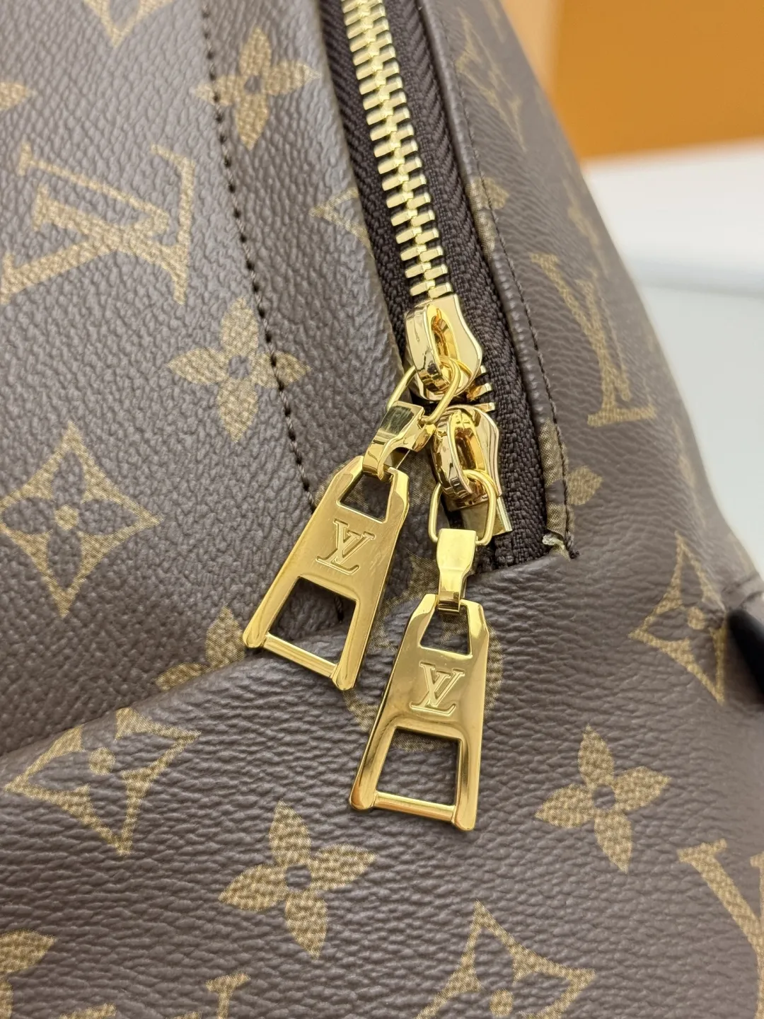 Louis Vuitton Palm Springs MM M44874 - 图片 9