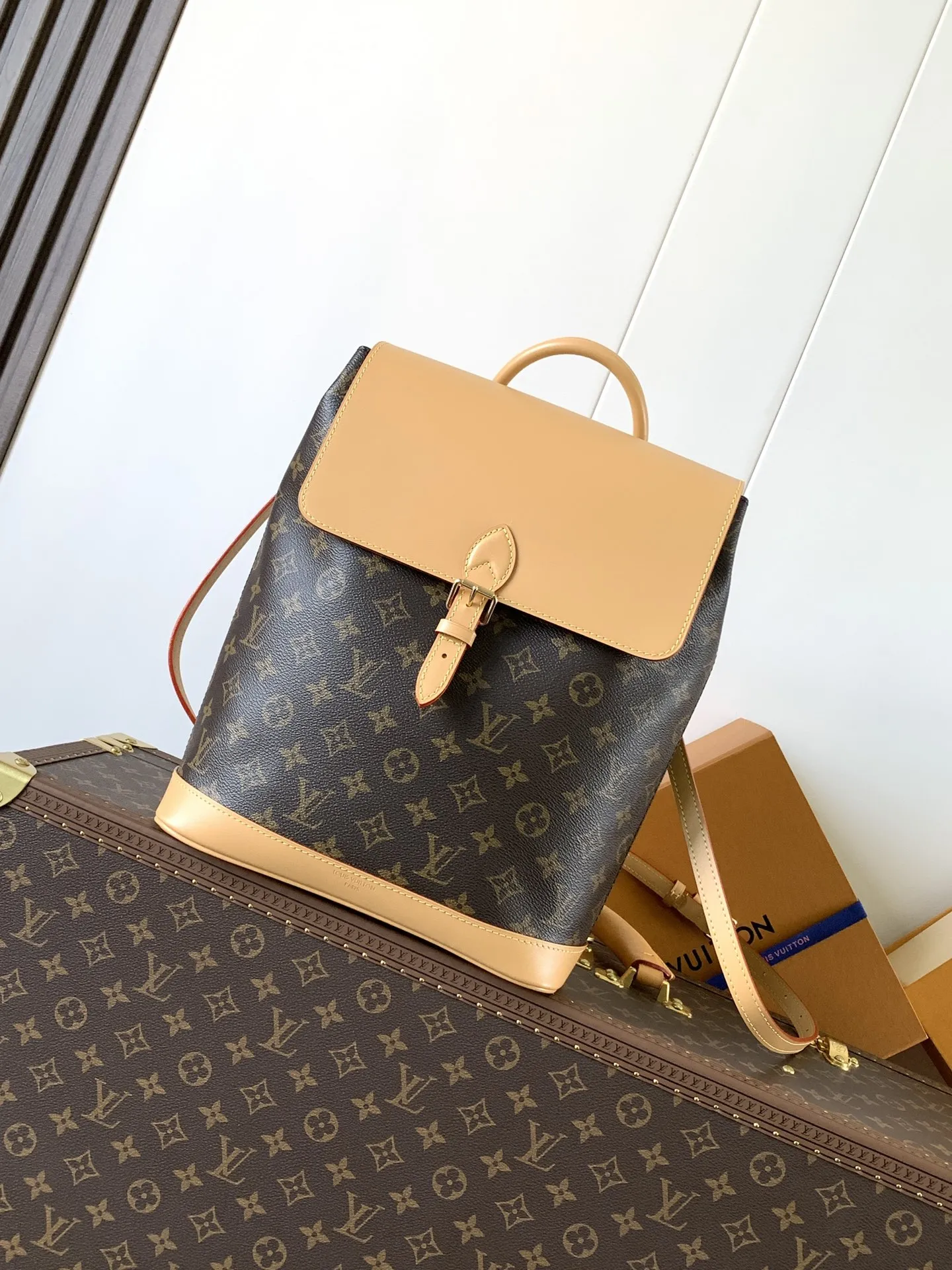 Louis Vuitton Soho MM M14653 - 图片 3