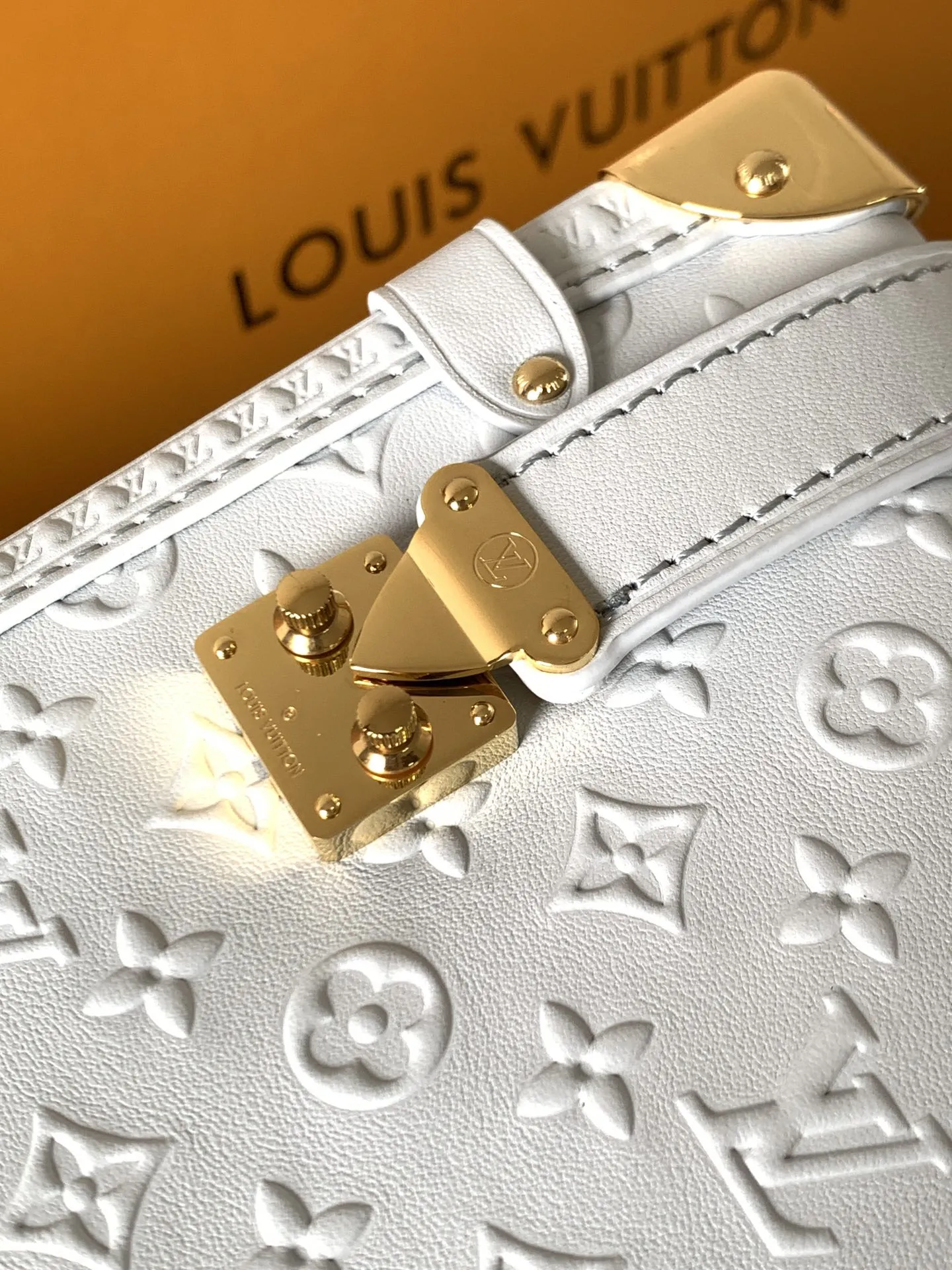 Louis Vuitton Side Trunk MM M25602 - Image 7