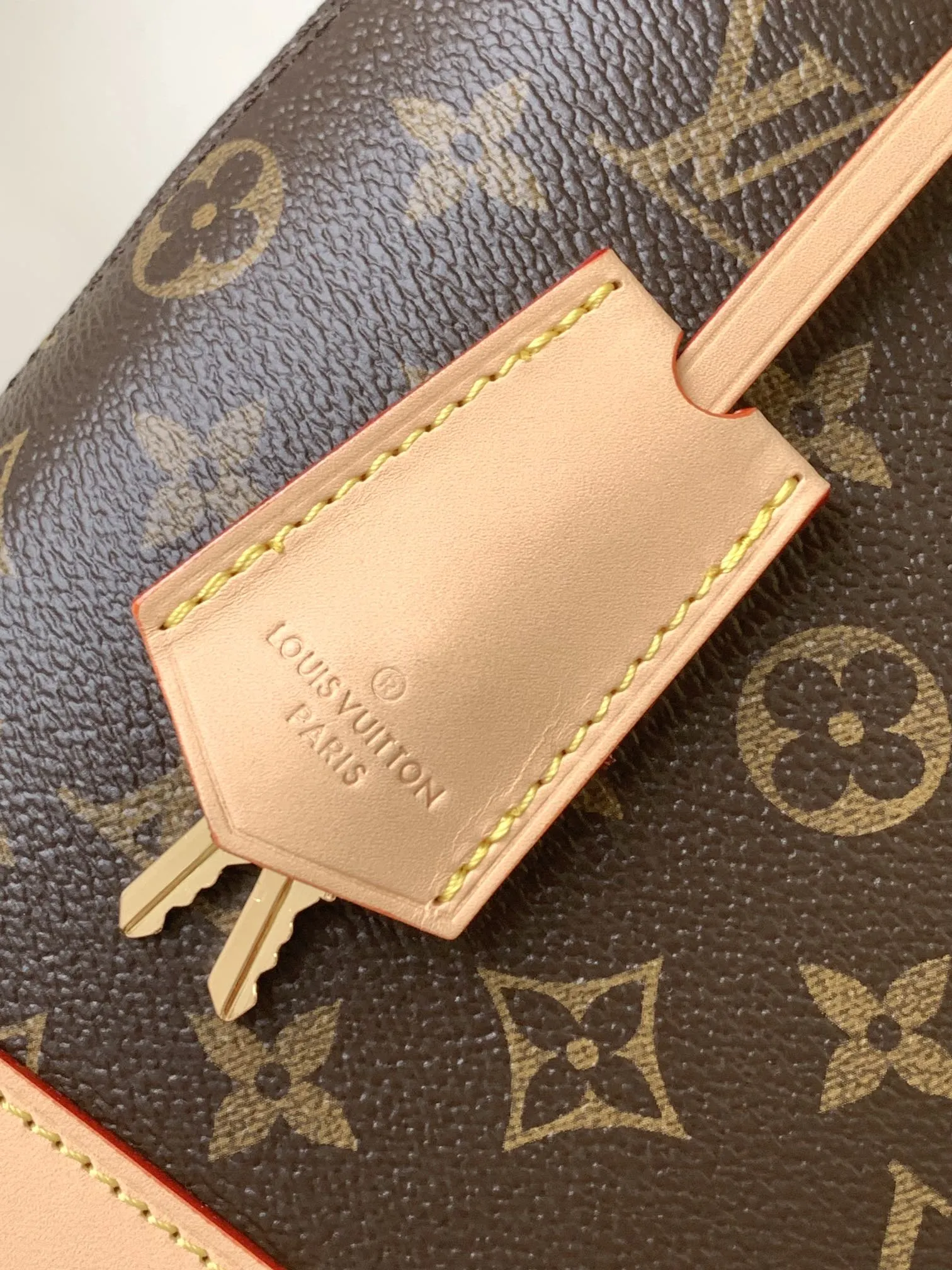 Louis Vuitton Alma Backpack M47132 - 图片 6