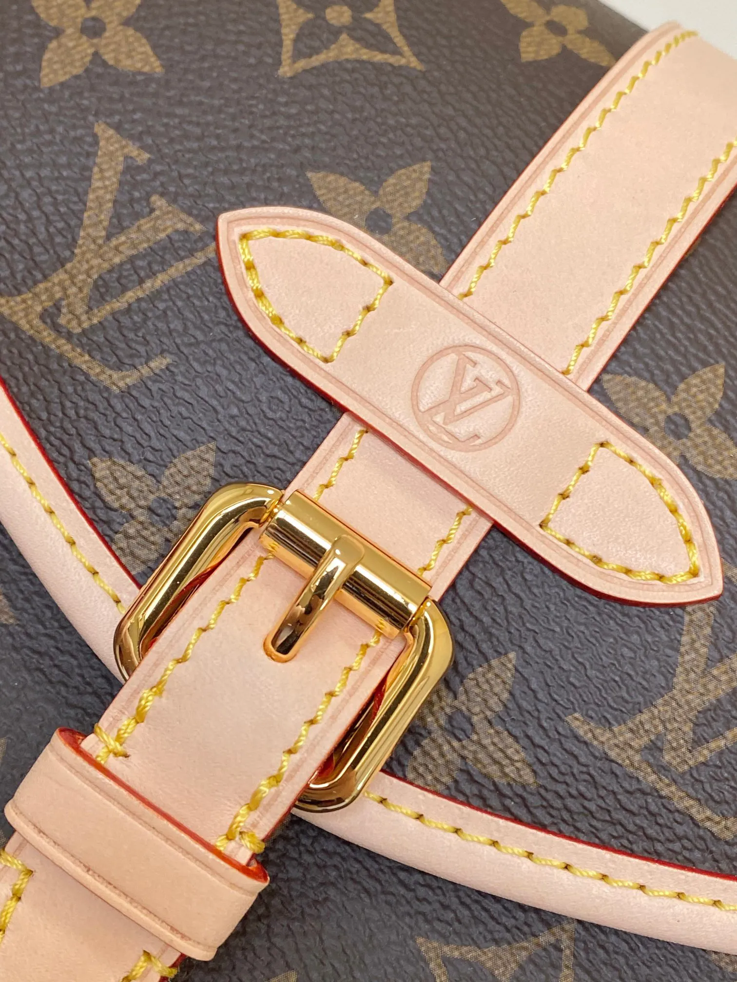 Louis Vuitton Saumur BB M46740 - 图片 7