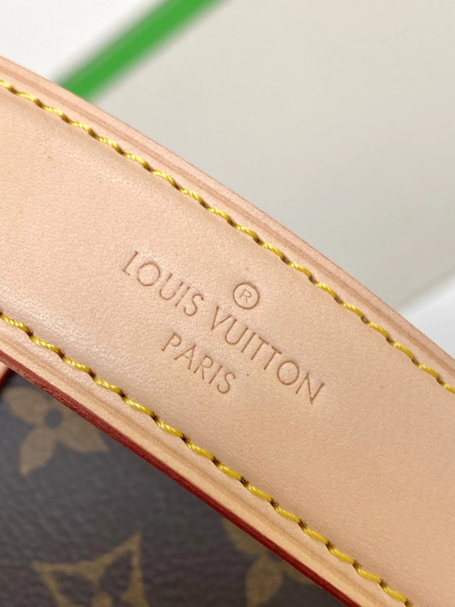Louis Vuitton Saumur BB M46740 - 图片 8