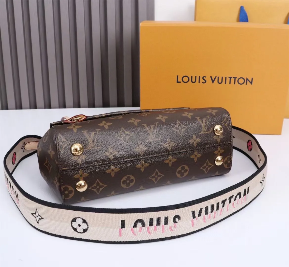 Louis Vuitton Cluny Mini M46055 - 图片 5
