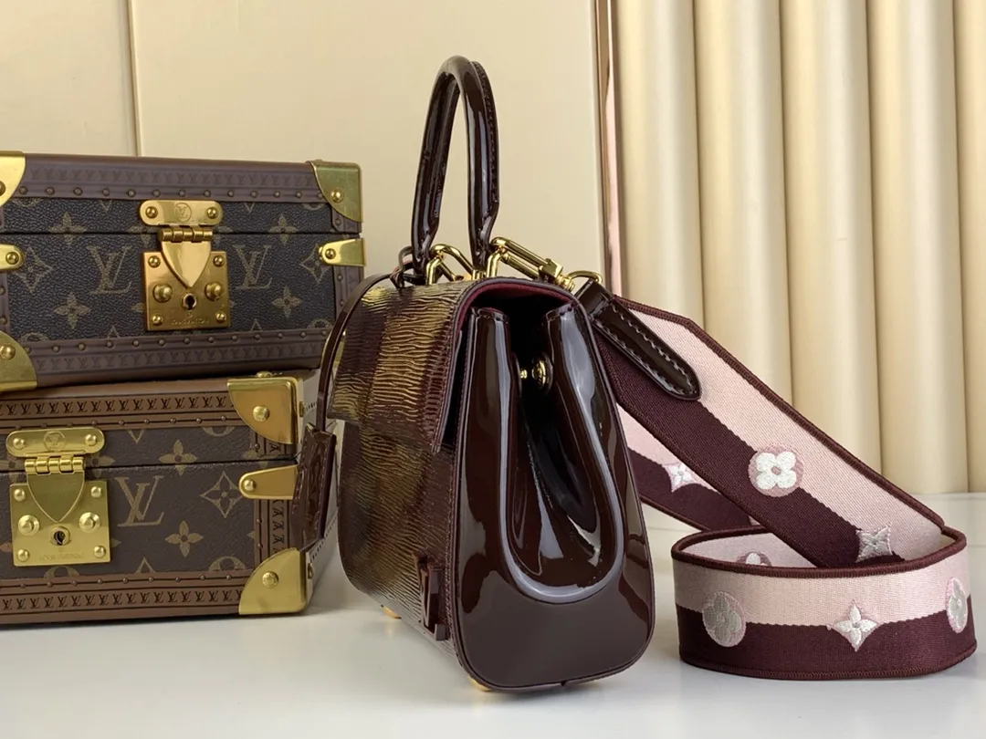 Louis Vuitton Cluny Mini M24616 - 图片 3