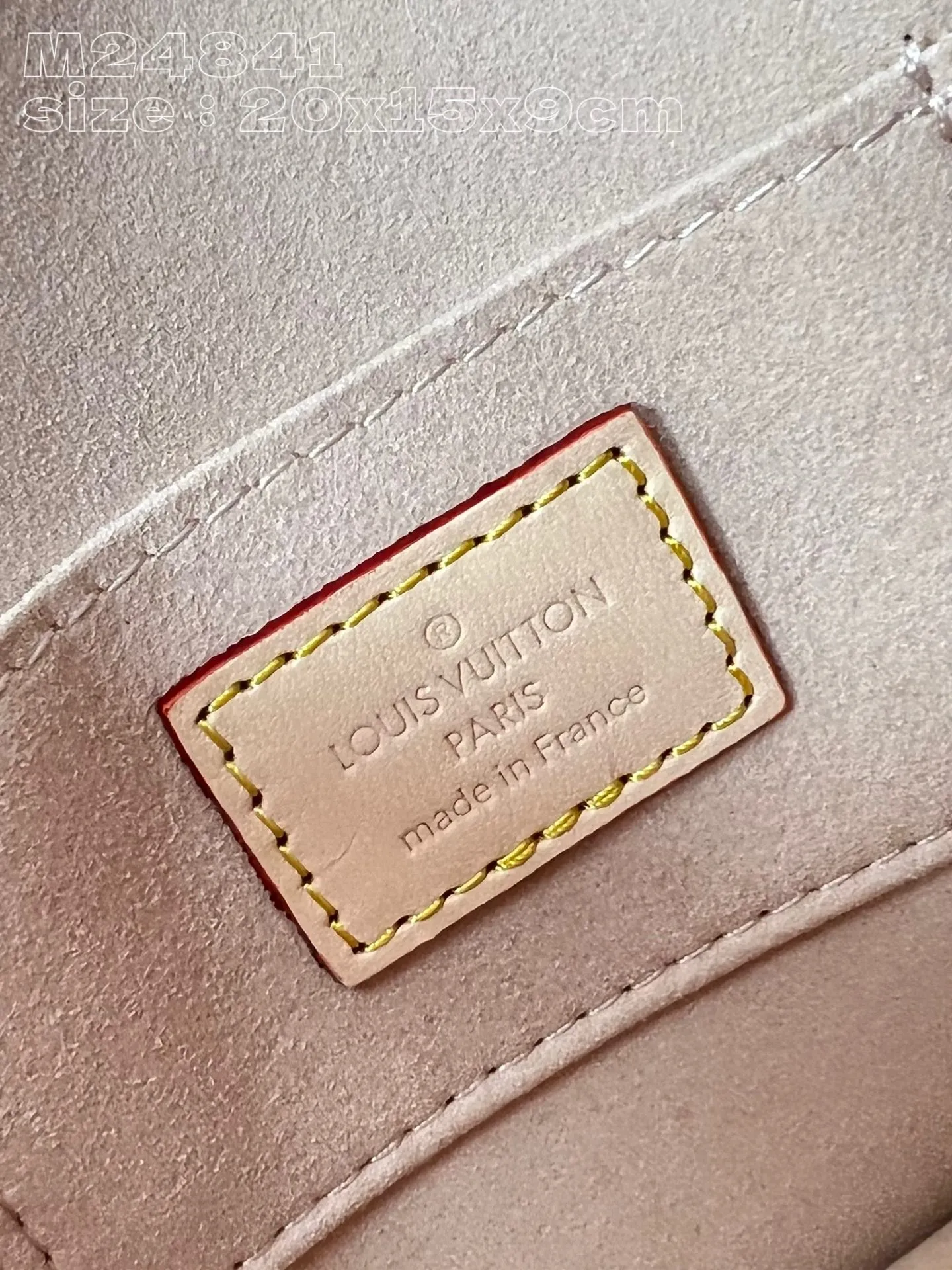 Louis Vuitton Mini Dauphine M24841 - 图片 10
