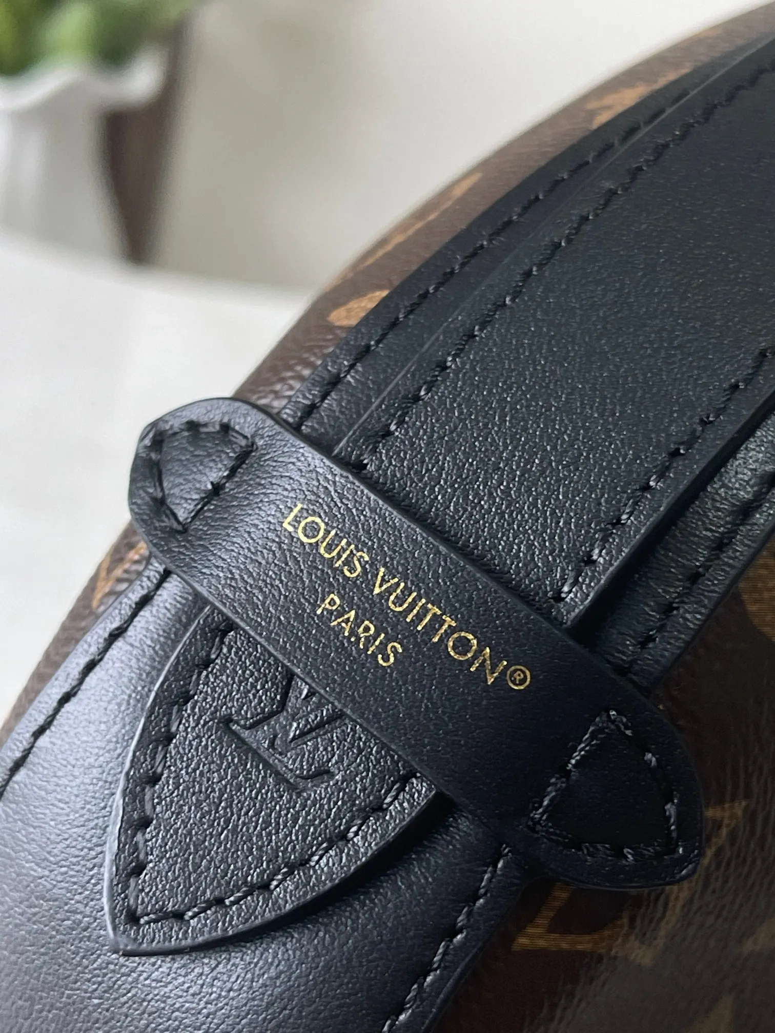 Louis Vuitton Cookie BB M15056 - 图片 9