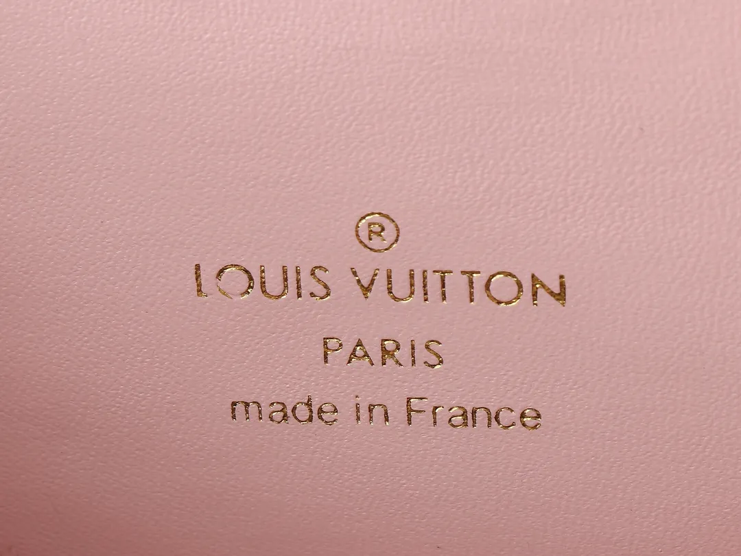 Louis Vuitton Vanity Chain Pouch M25123 - Image 9
