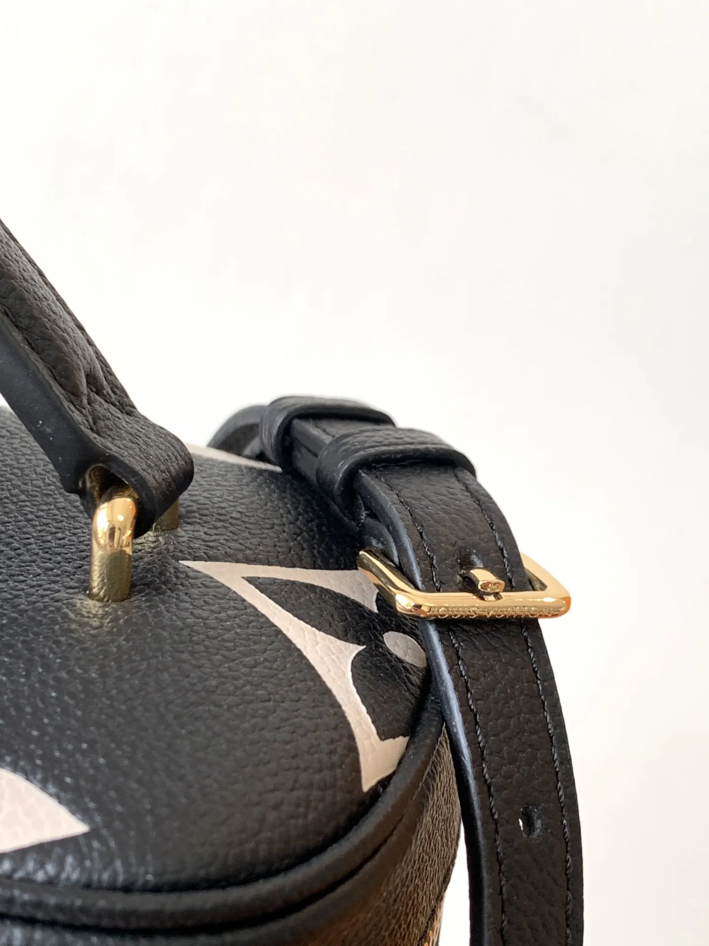 Louis Vuitton Vanity PM M45780 - 图片 7