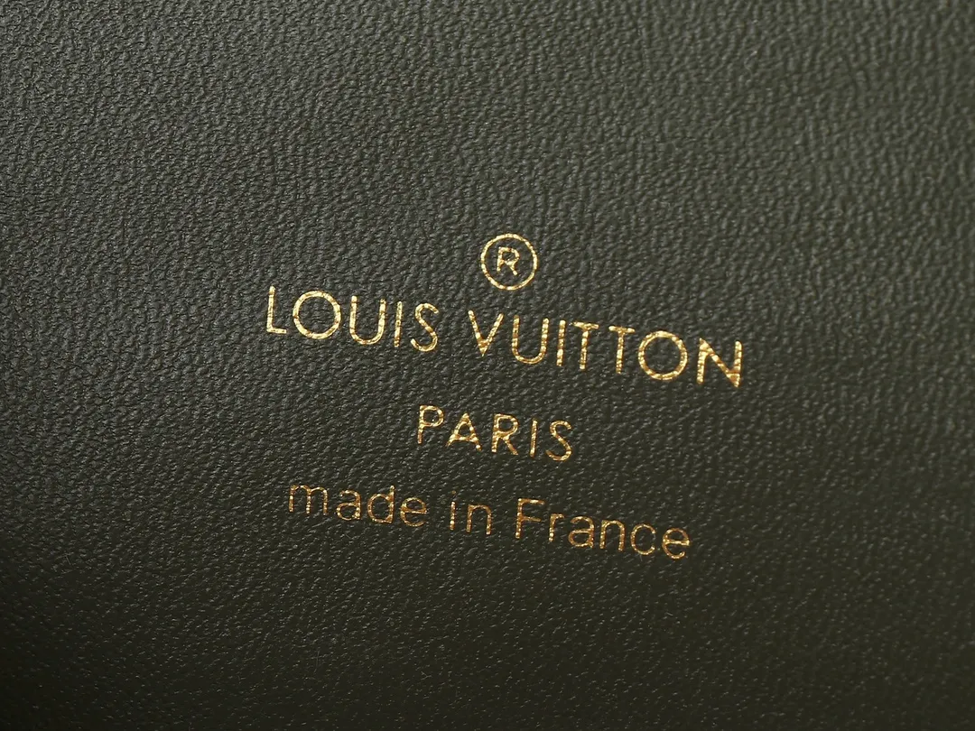 Louis Vuitton Vanity Chain Pouch M25219 - 图片 9