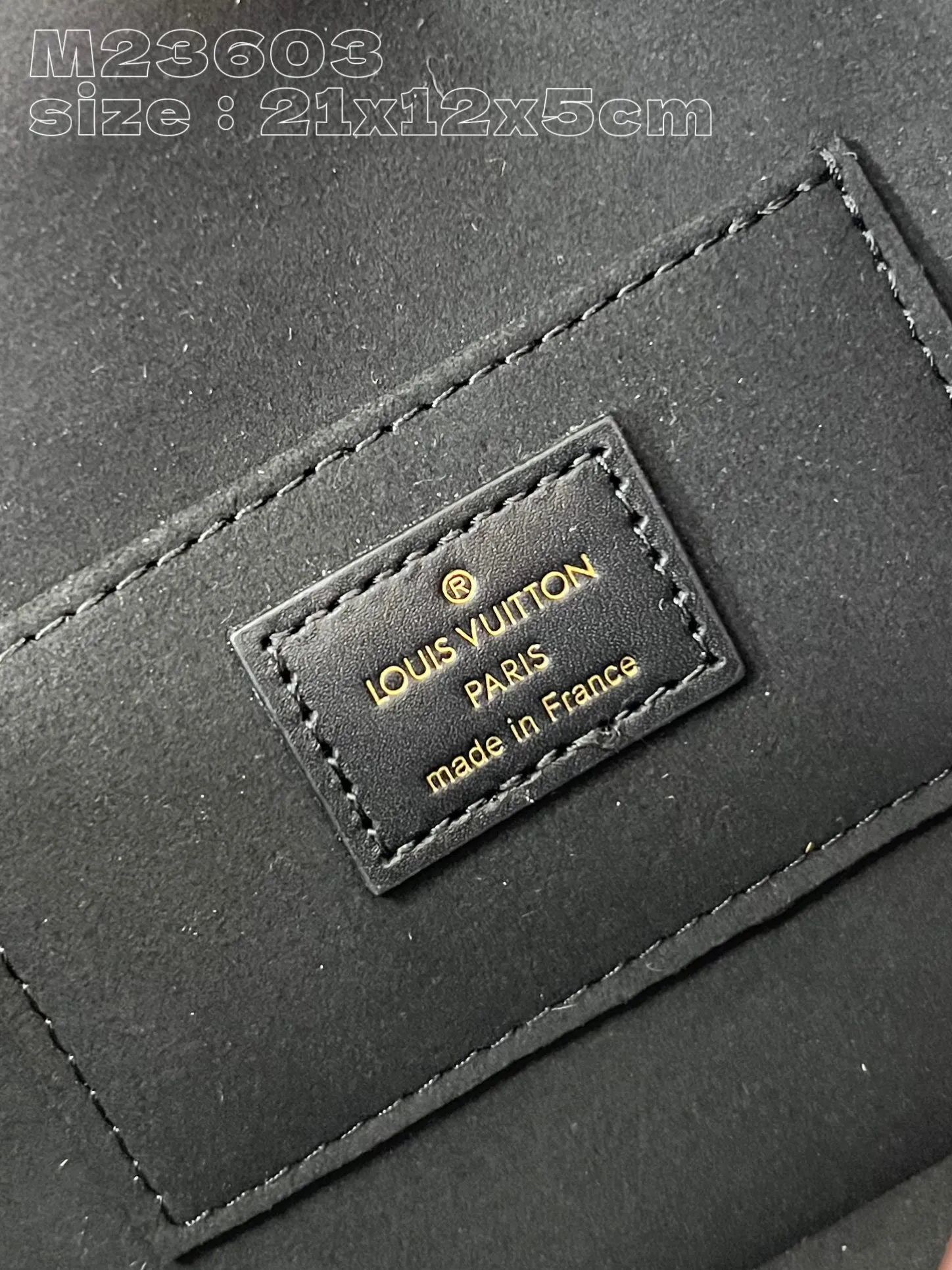 Louis Vuitton Dauphine East West M23603 - 图片 9