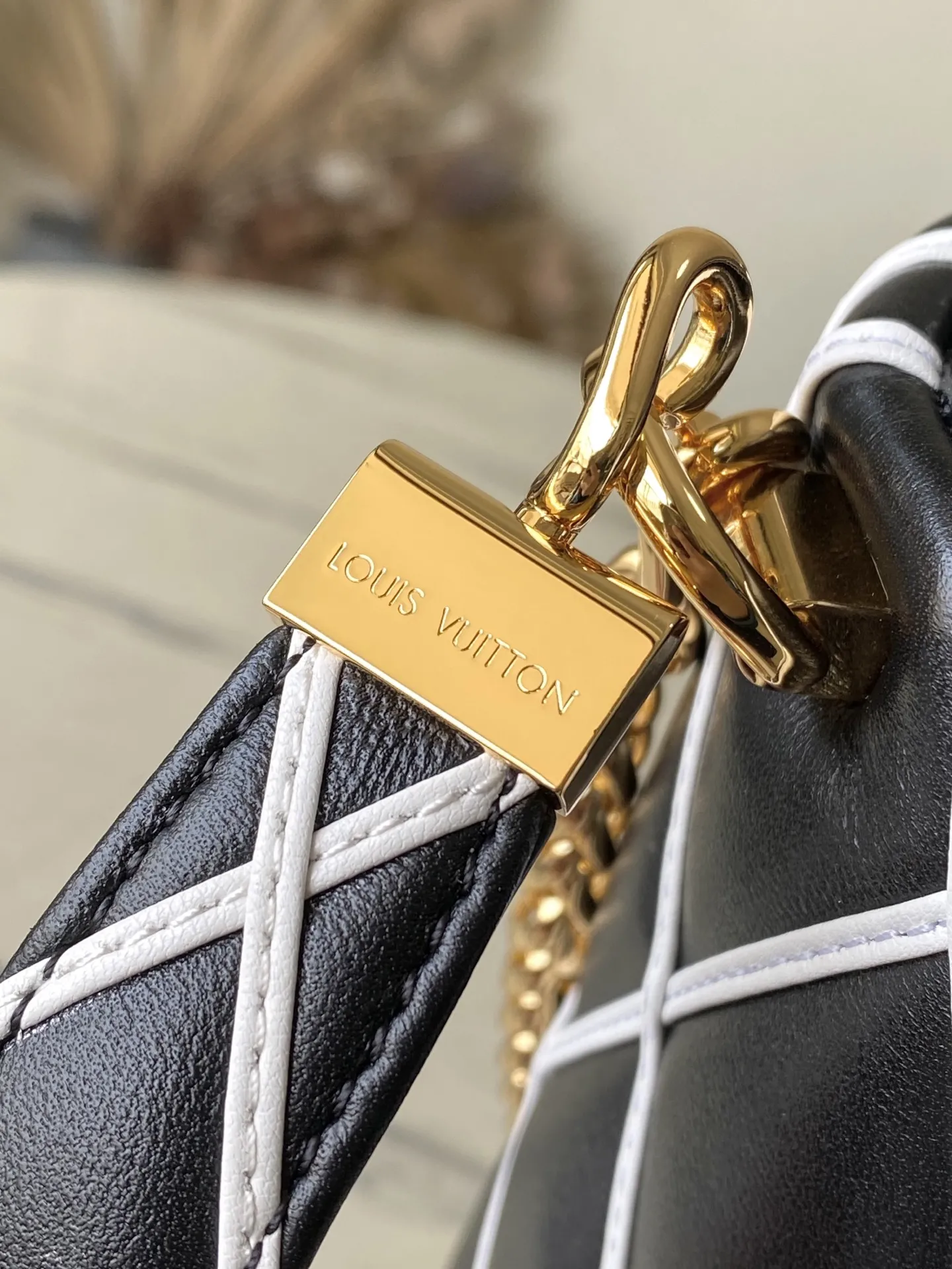 Louis Vuitton GO-14 PM M14849 - 图片 6