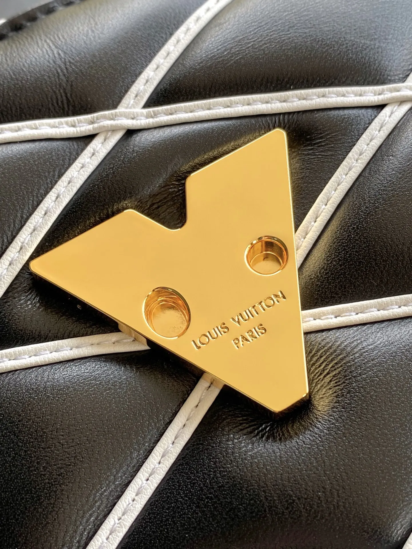 Louis Vuitton GO-14 PM M14849 - 图片 7