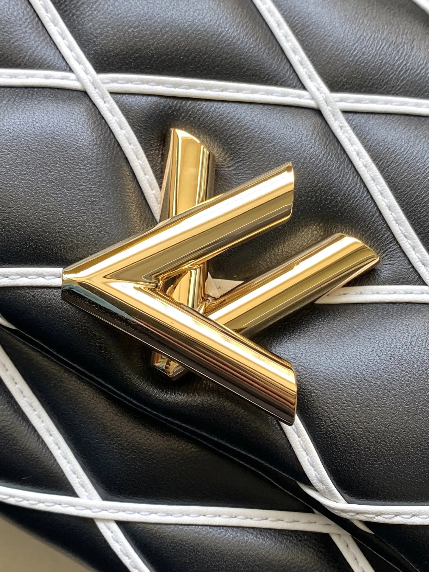 Louis Vuitton GO-14 PM M14849 - 图片 8