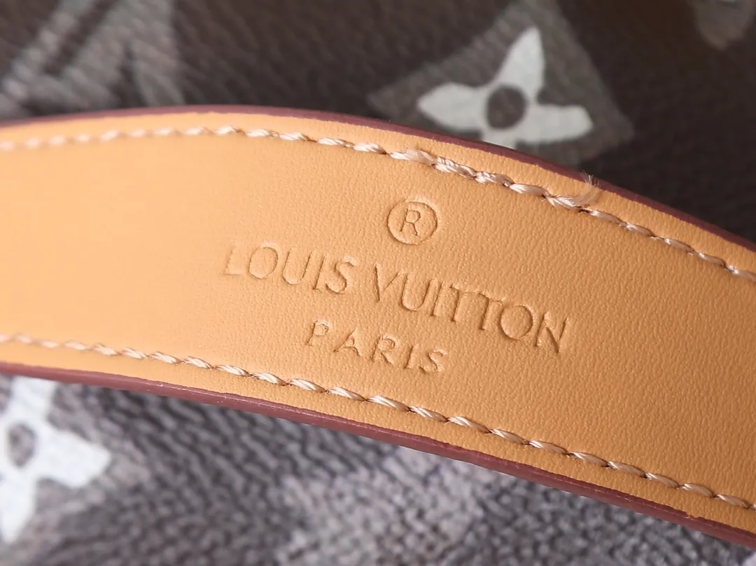 Louis Vuitton Rush Bumbag M24858 - 图片 16