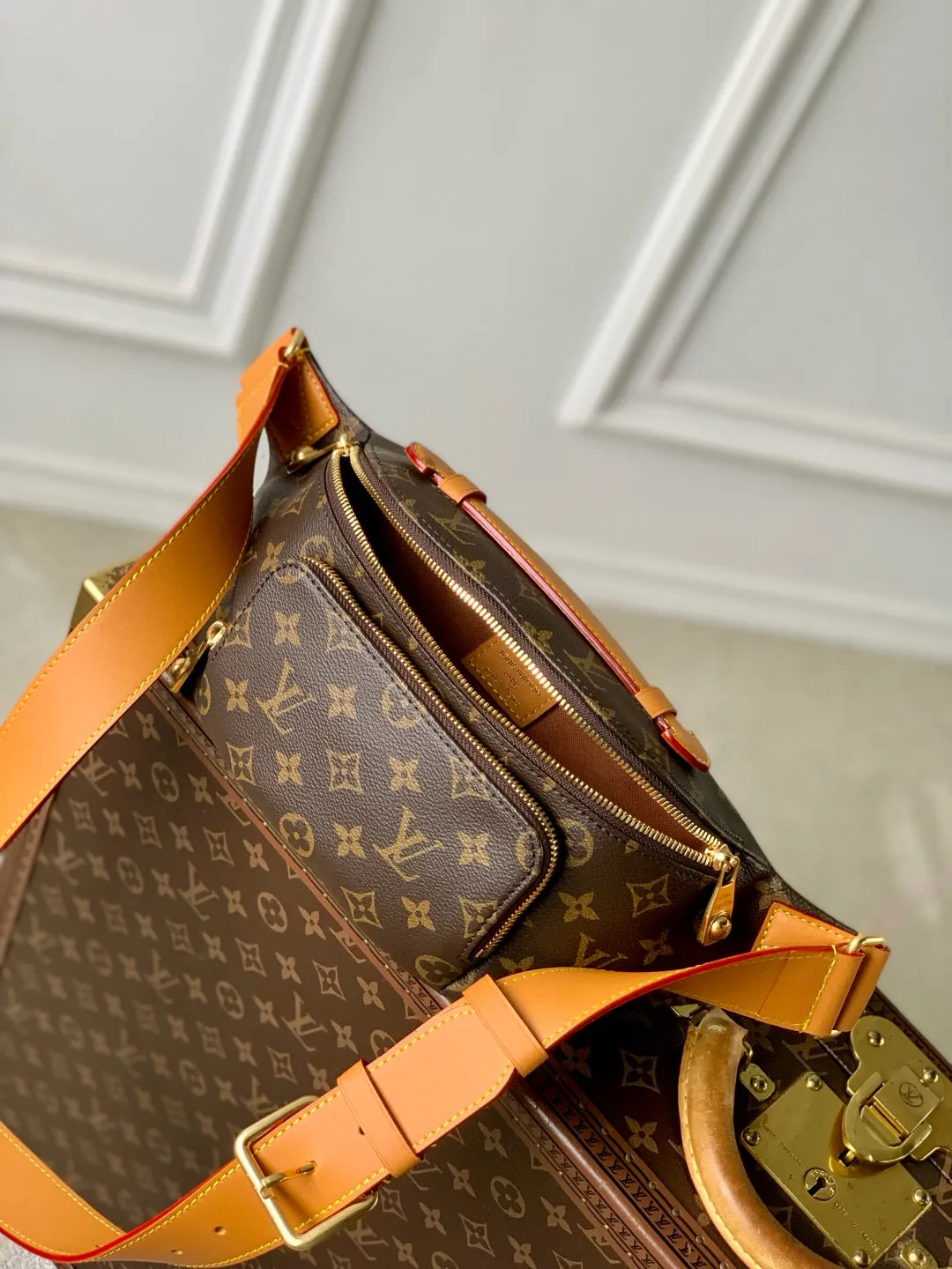 Alternative view of Louis Vuitton Rush Bumbag M14019