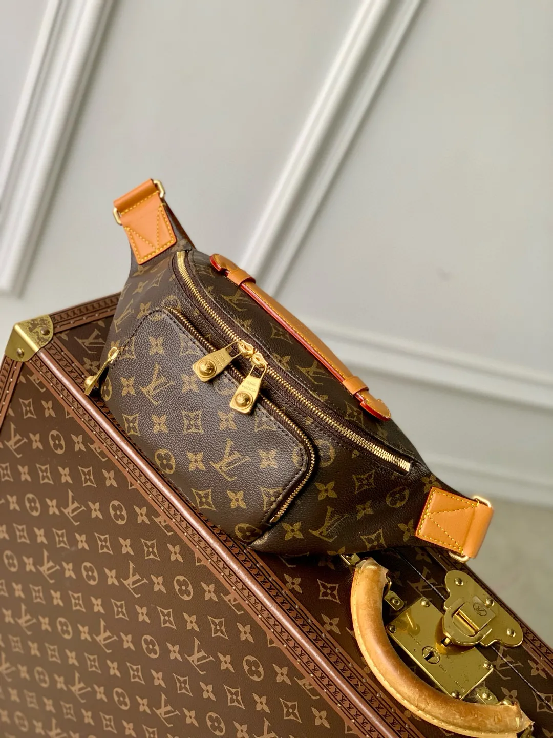 Louis Vuitton Rush Bumbag M14019 - 图片 3