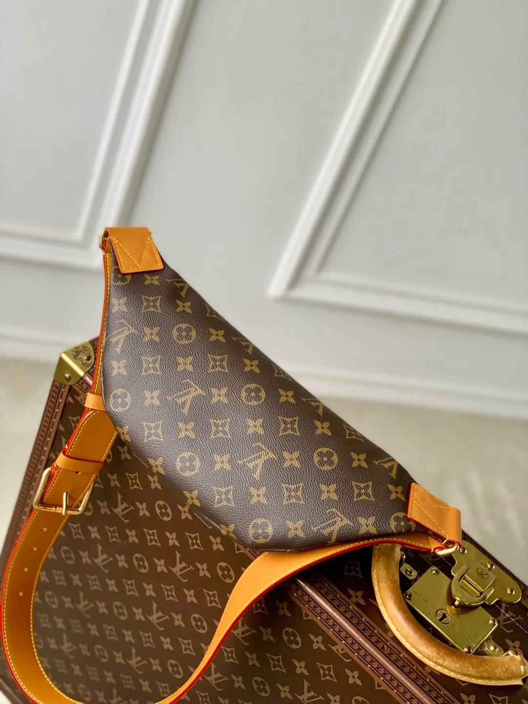 Louis Vuitton Rush Bumbag M14019 - 图片 4