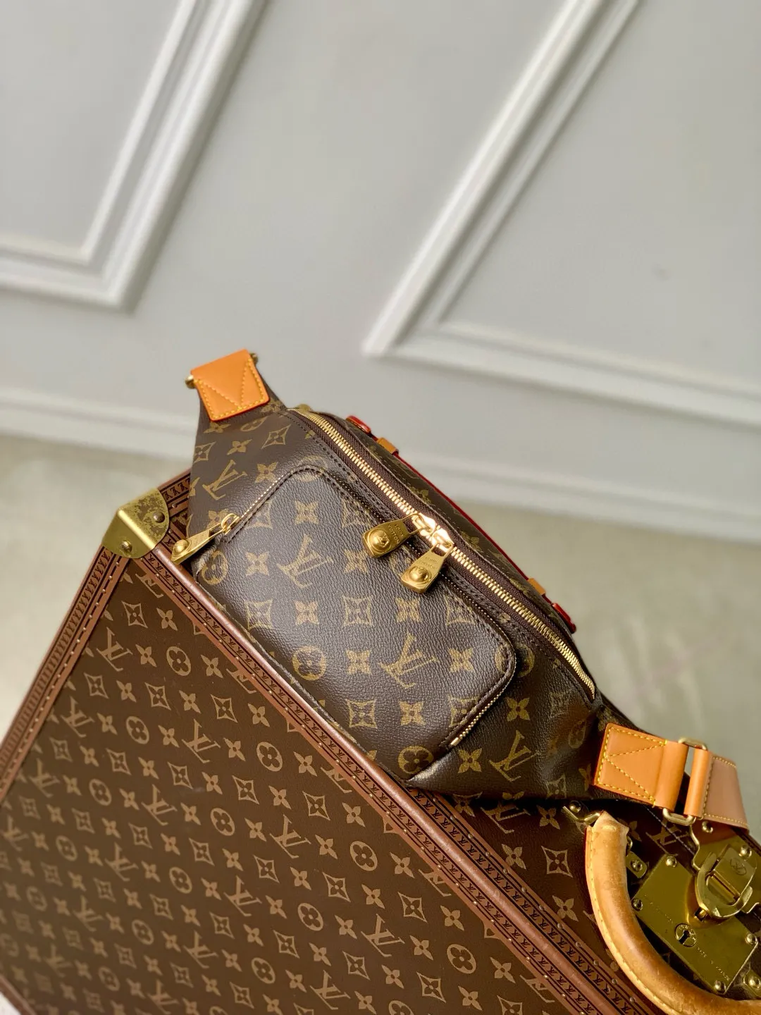 Louis Vuitton Rush Bumbag M14019 - 图片 5