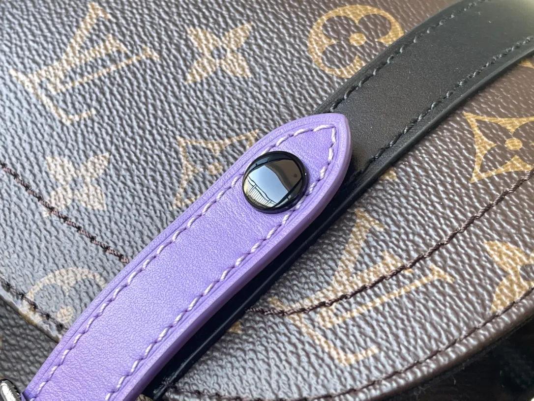 Louis Vuitton Christopher M46247 - Image 8