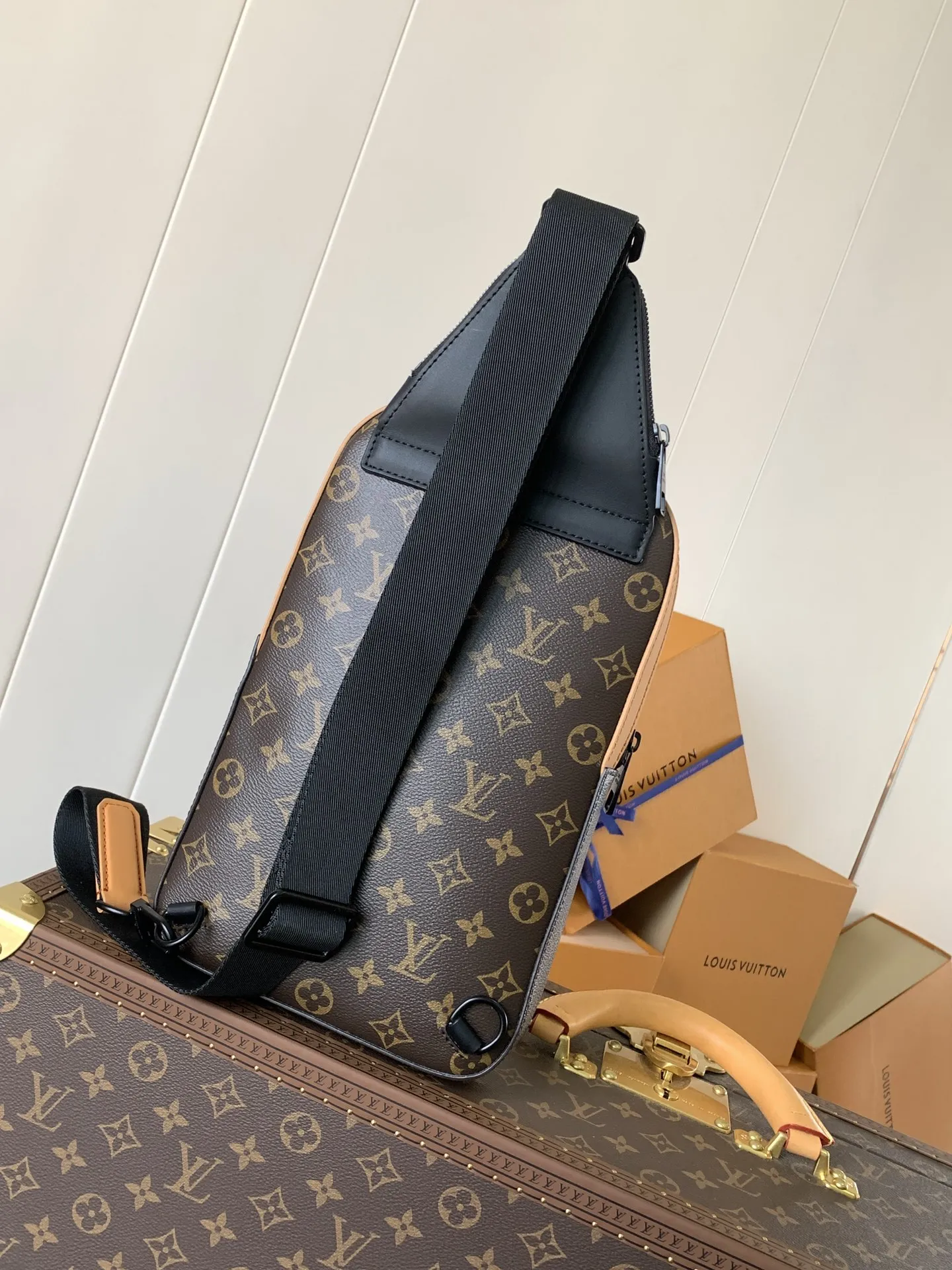 Louis Vuitton Avenue Slingbag M46718 - 图片 5