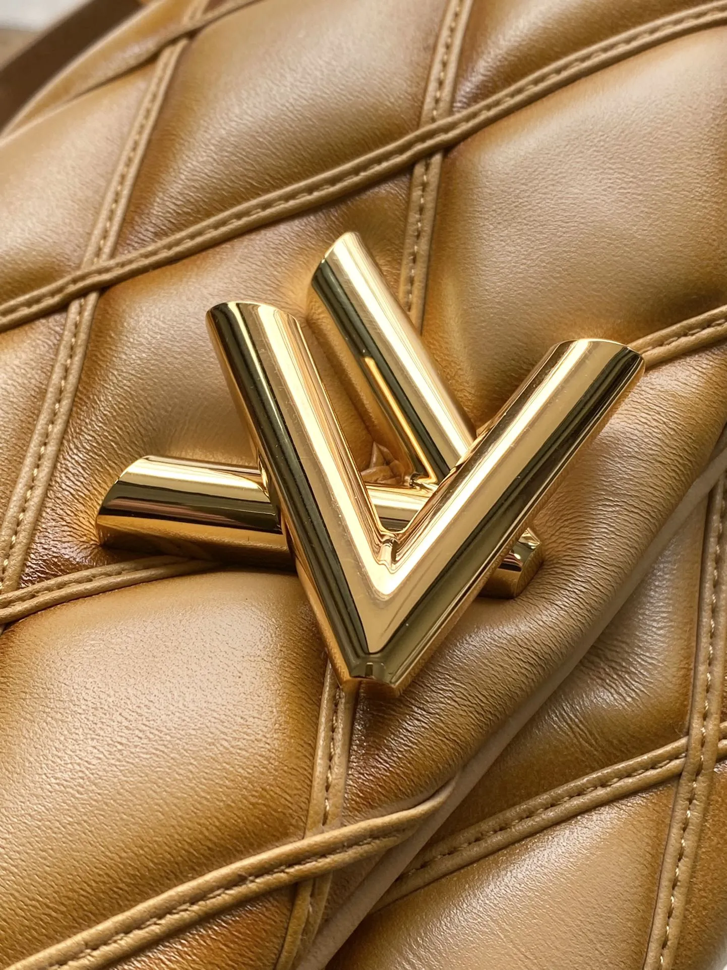 Louis Vuitton GO-14 PM M12332 - Image 6