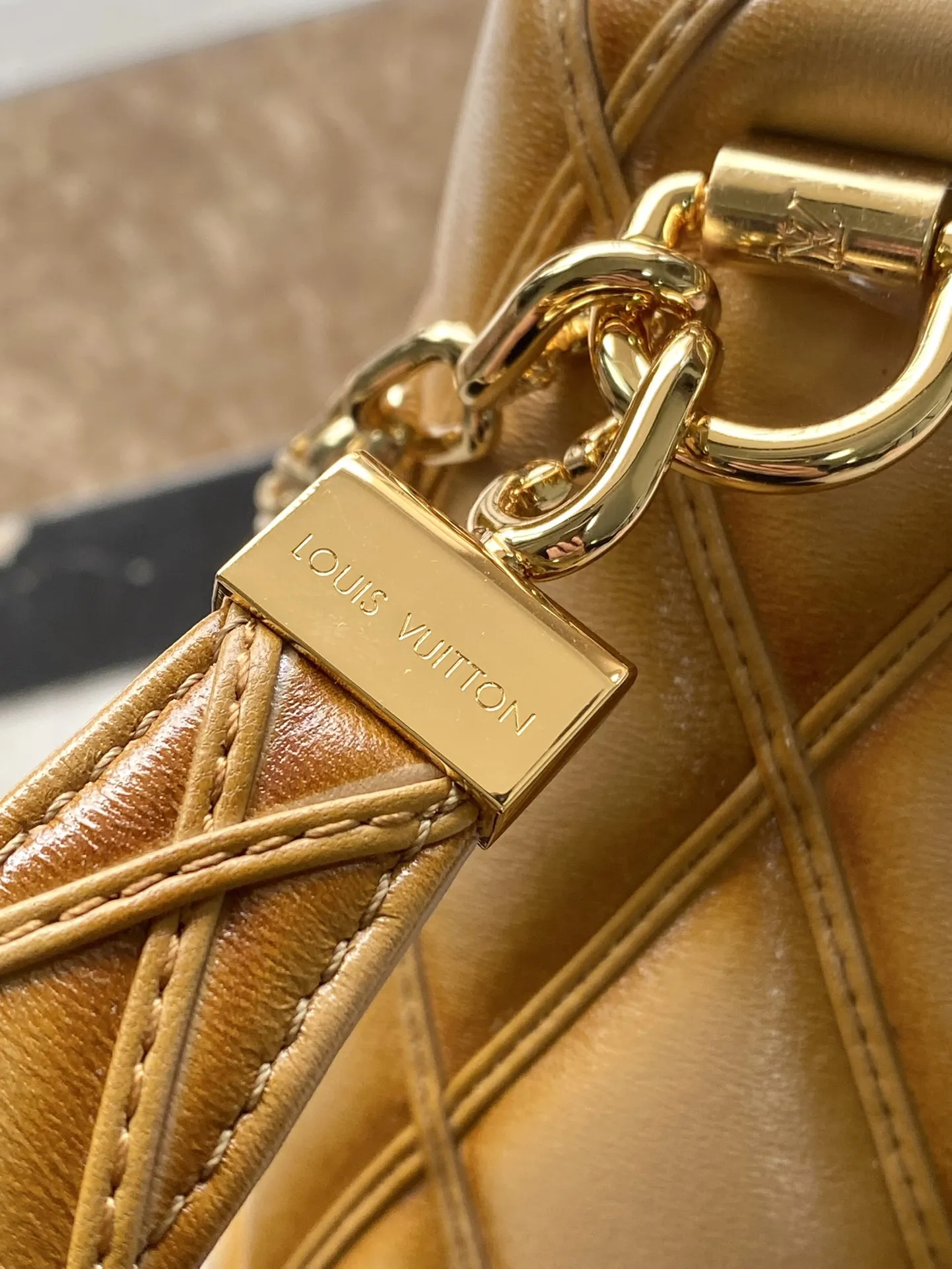 Louis Vuitton GO-14 PM M12332 - Image 7