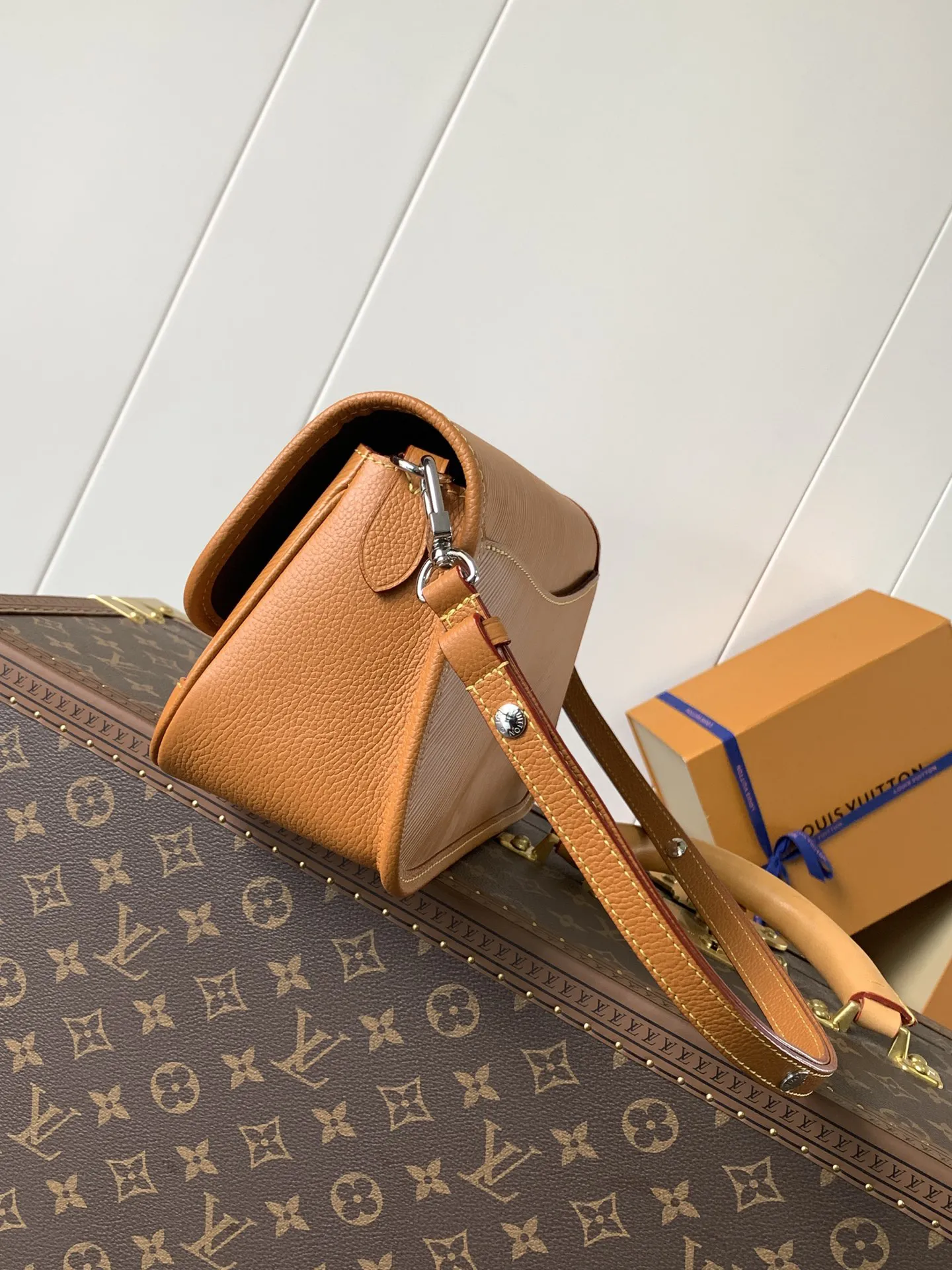 Louis Vuitton Buci M59459 - 图片 5