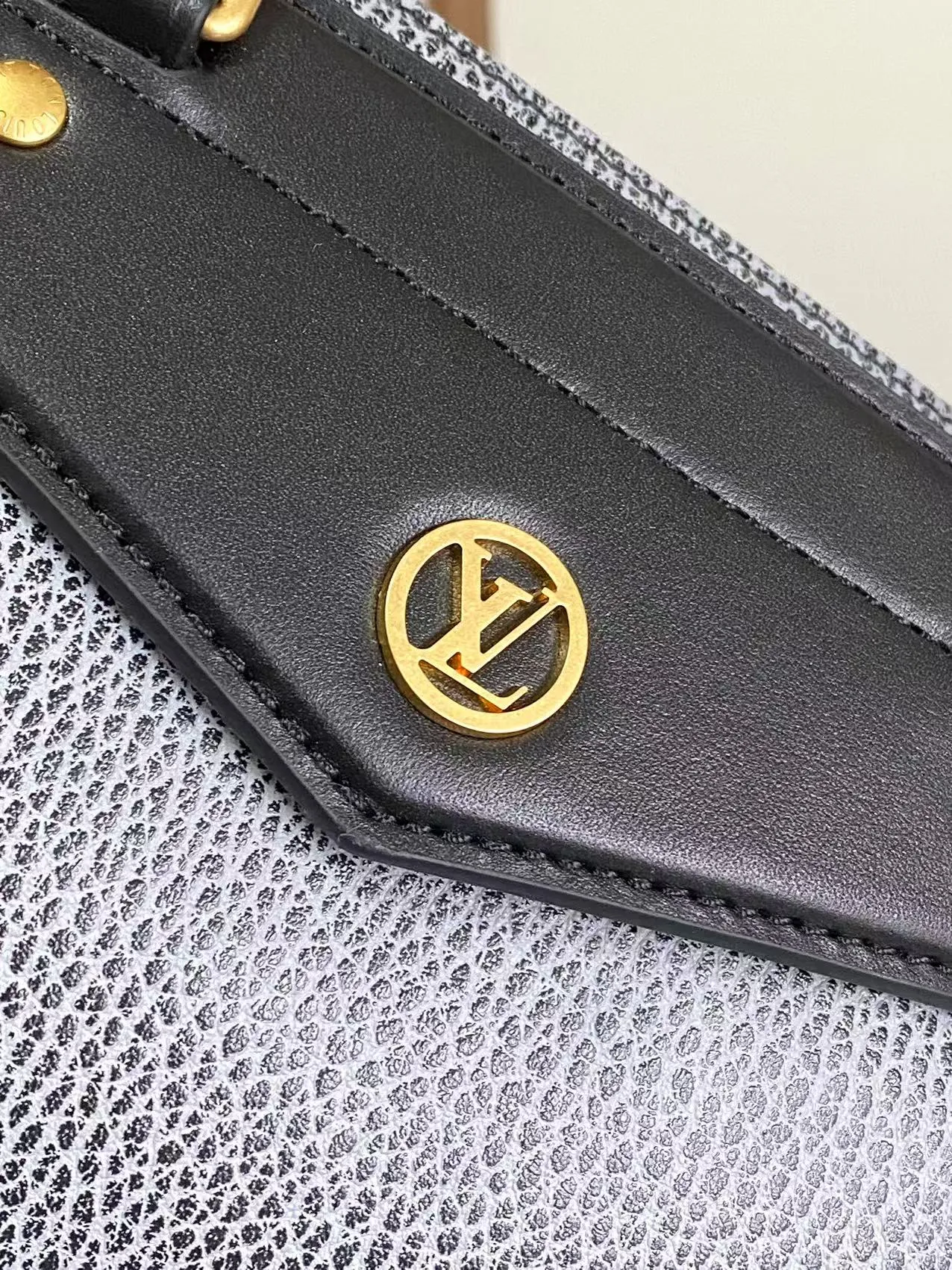 Louis Vuitton LV Biker MM M14702 - 图片 6