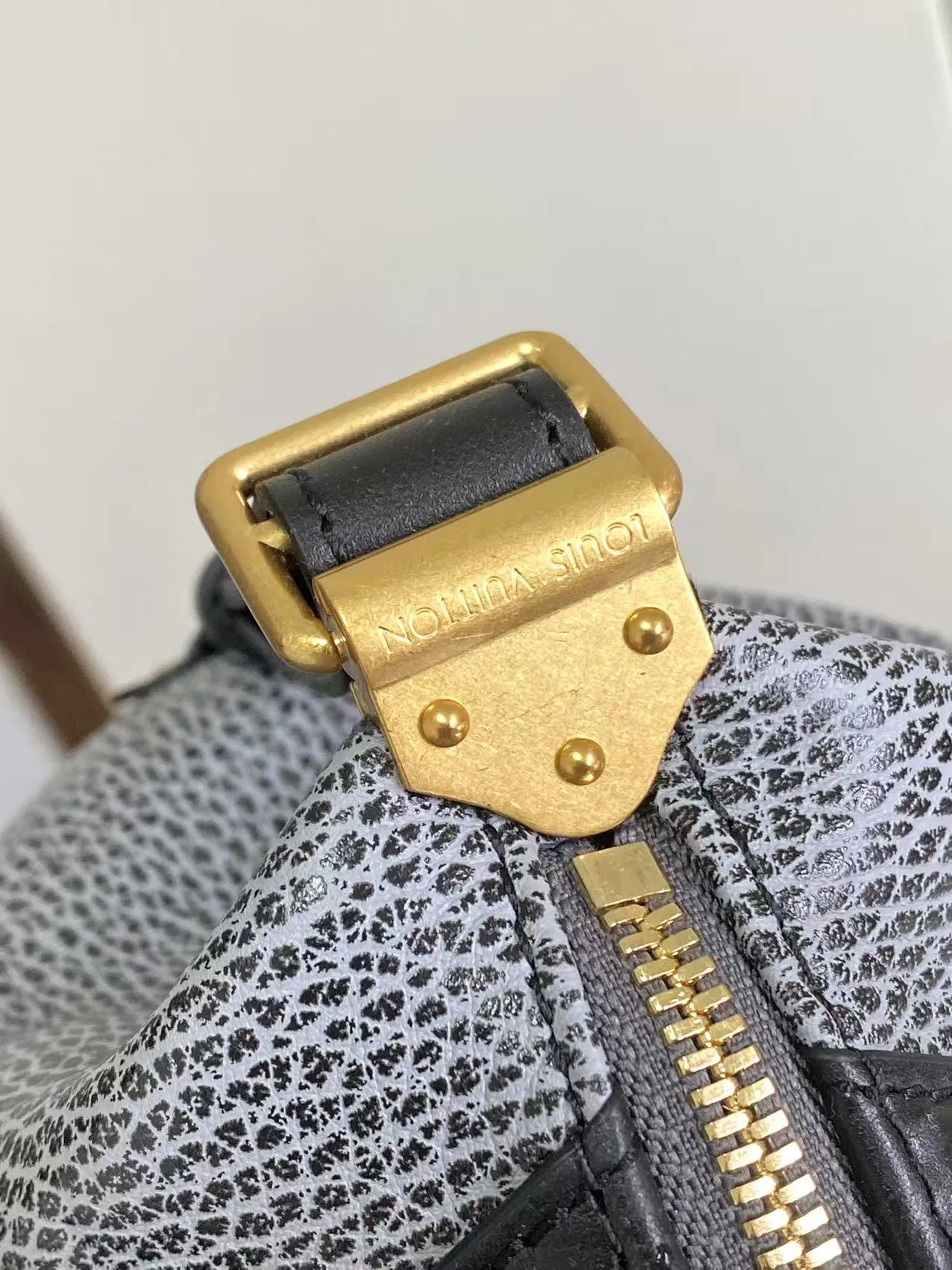 Louis Vuitton LV Biker MM M14702 - 图片 8