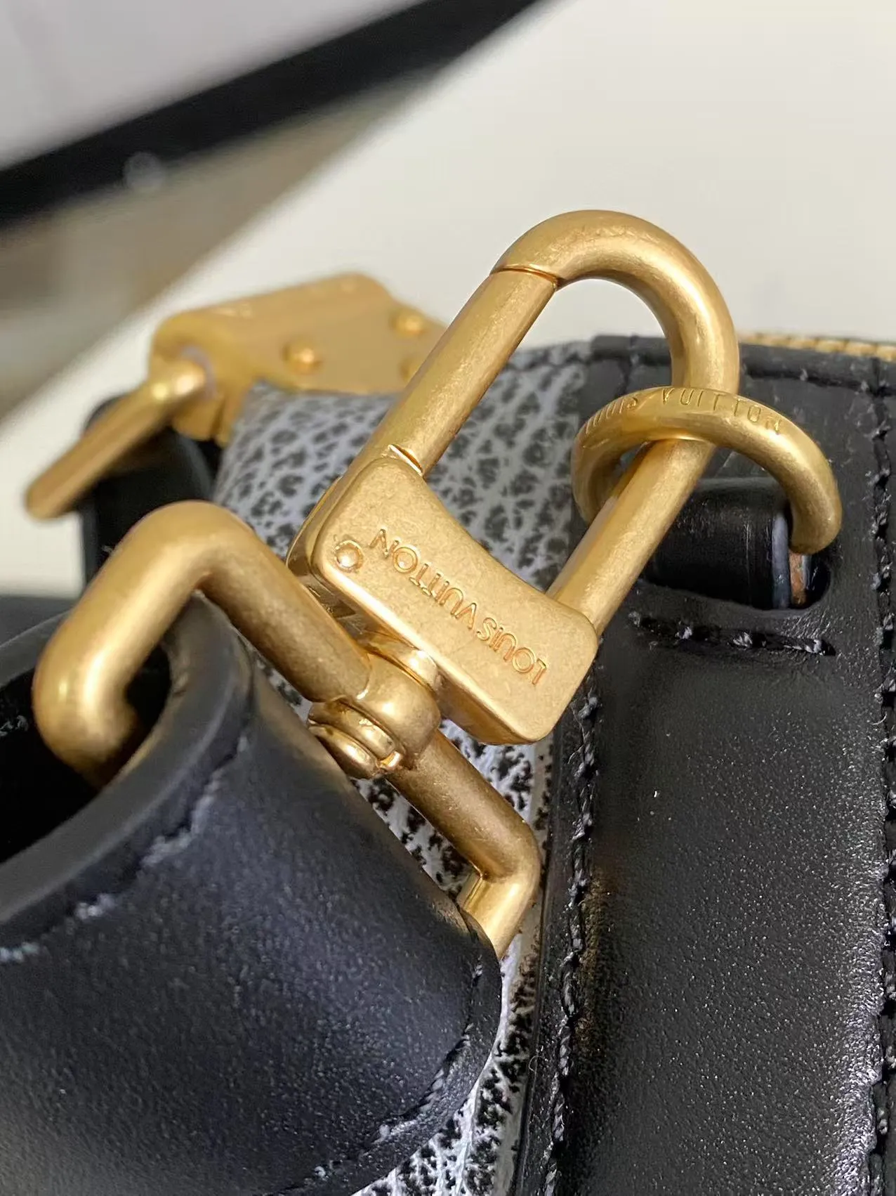 Louis Vuitton LV Biker MM M14702 - 图片 9