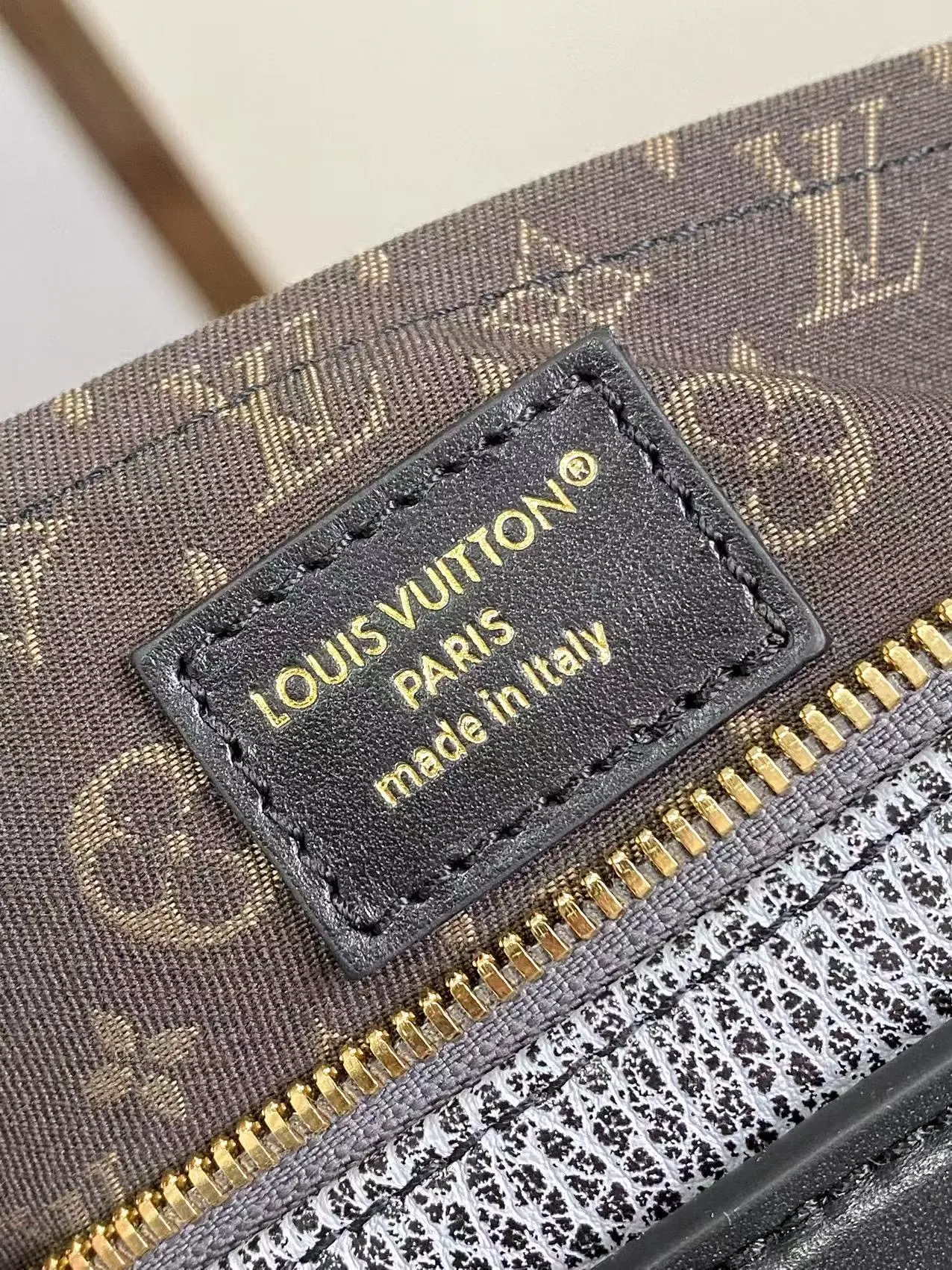 Louis Vuitton LV Biker MM M14702 - 图片 11