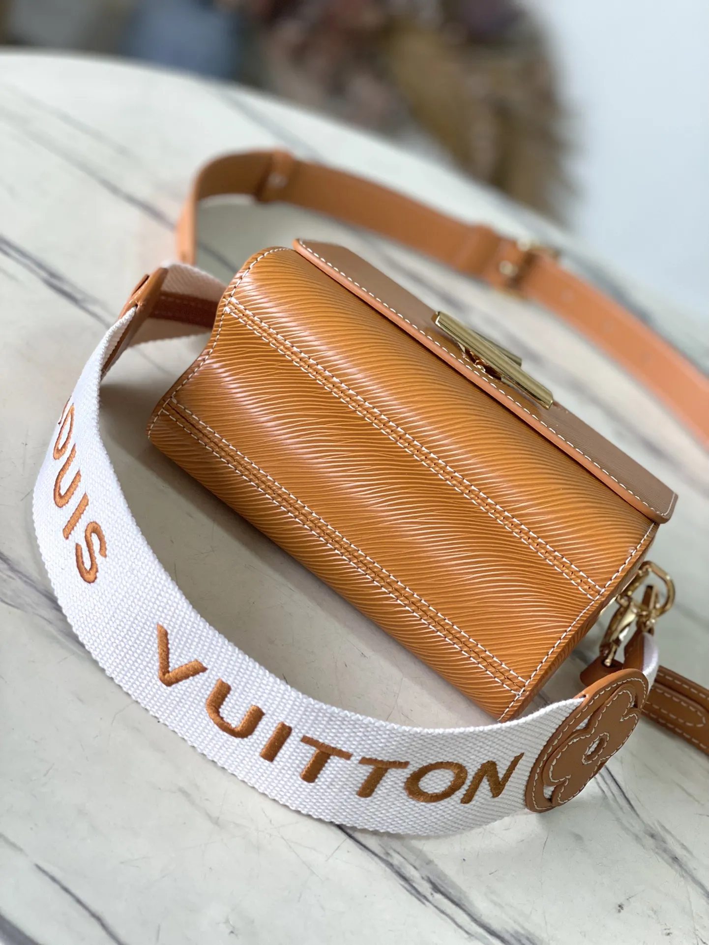 Louis Vuitton Twist PM M24758 - 图片 5