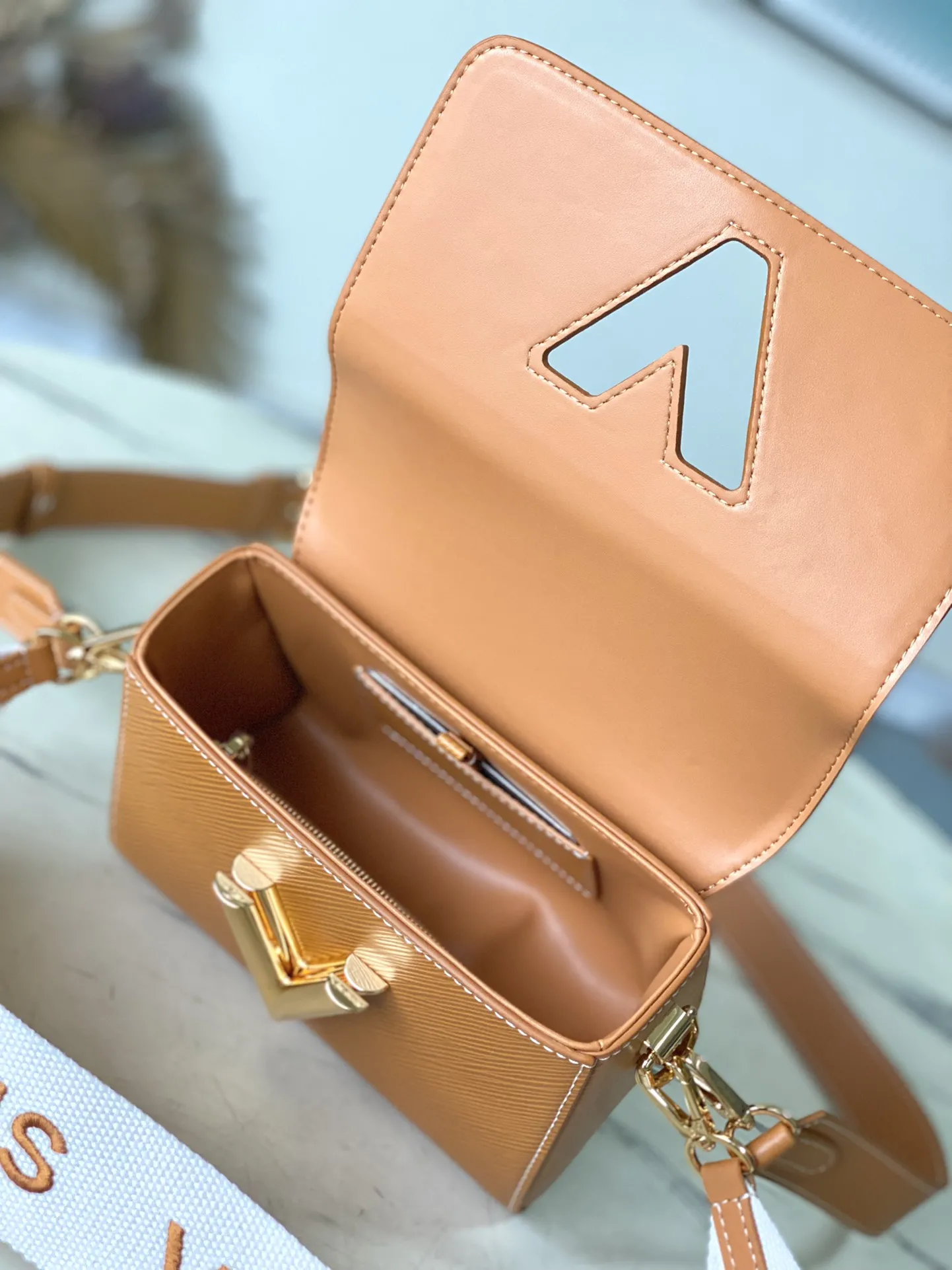 Louis Vuitton Twist PM M24758 - 图片 9