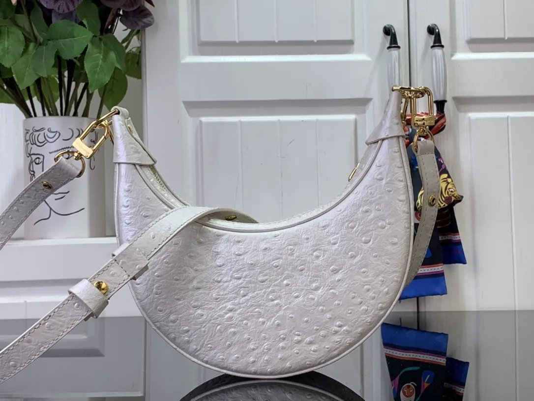 Louis Vuitton Loop PM N85900 - 图片 5