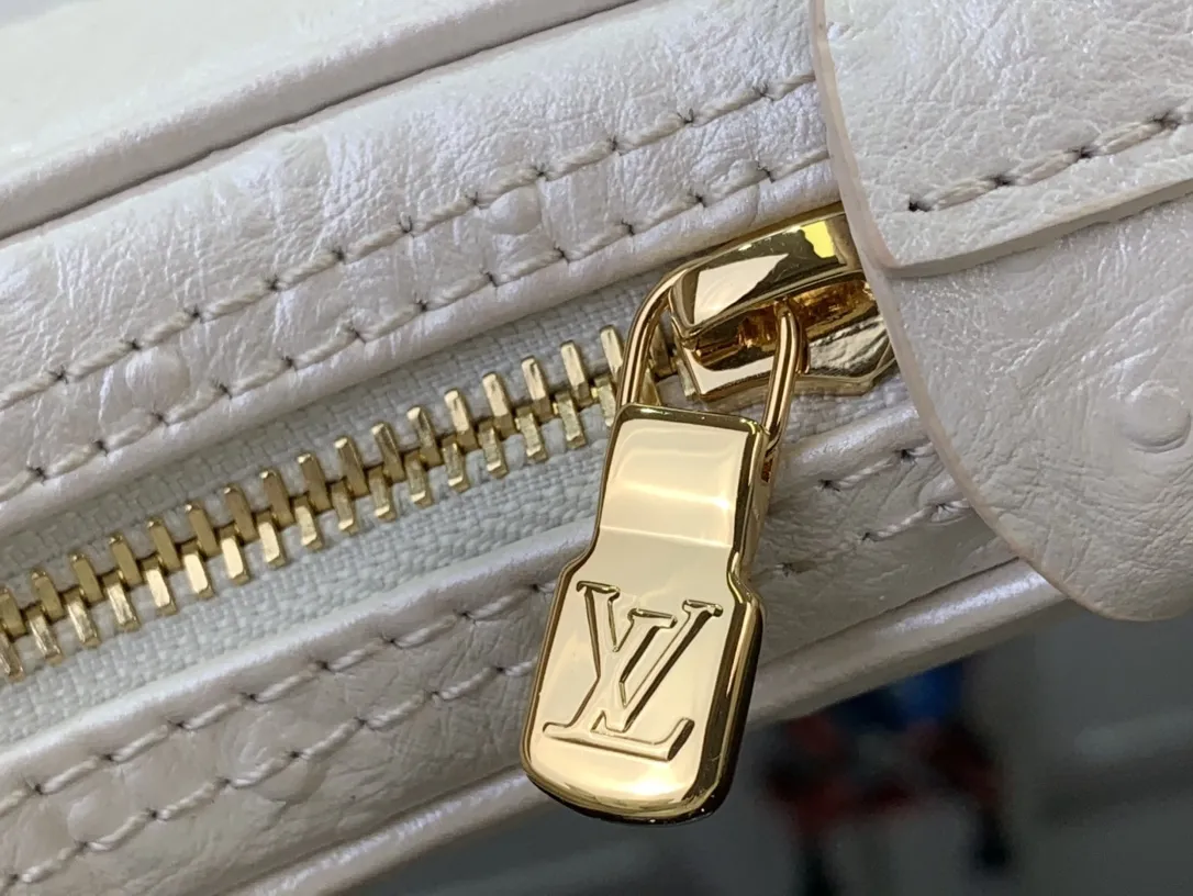 Louis Vuitton Loop PM N85900 - 图片 8