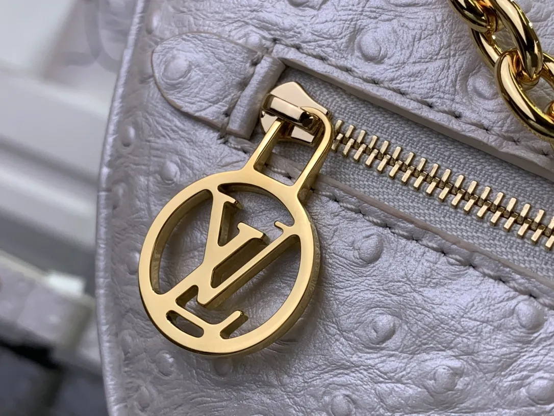 Louis Vuitton Loop PM N85900 - 图片 9