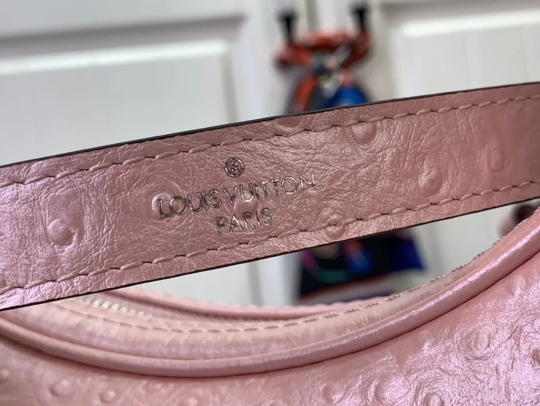 Louis Vuitton Loop PM N84997 - 图片 9