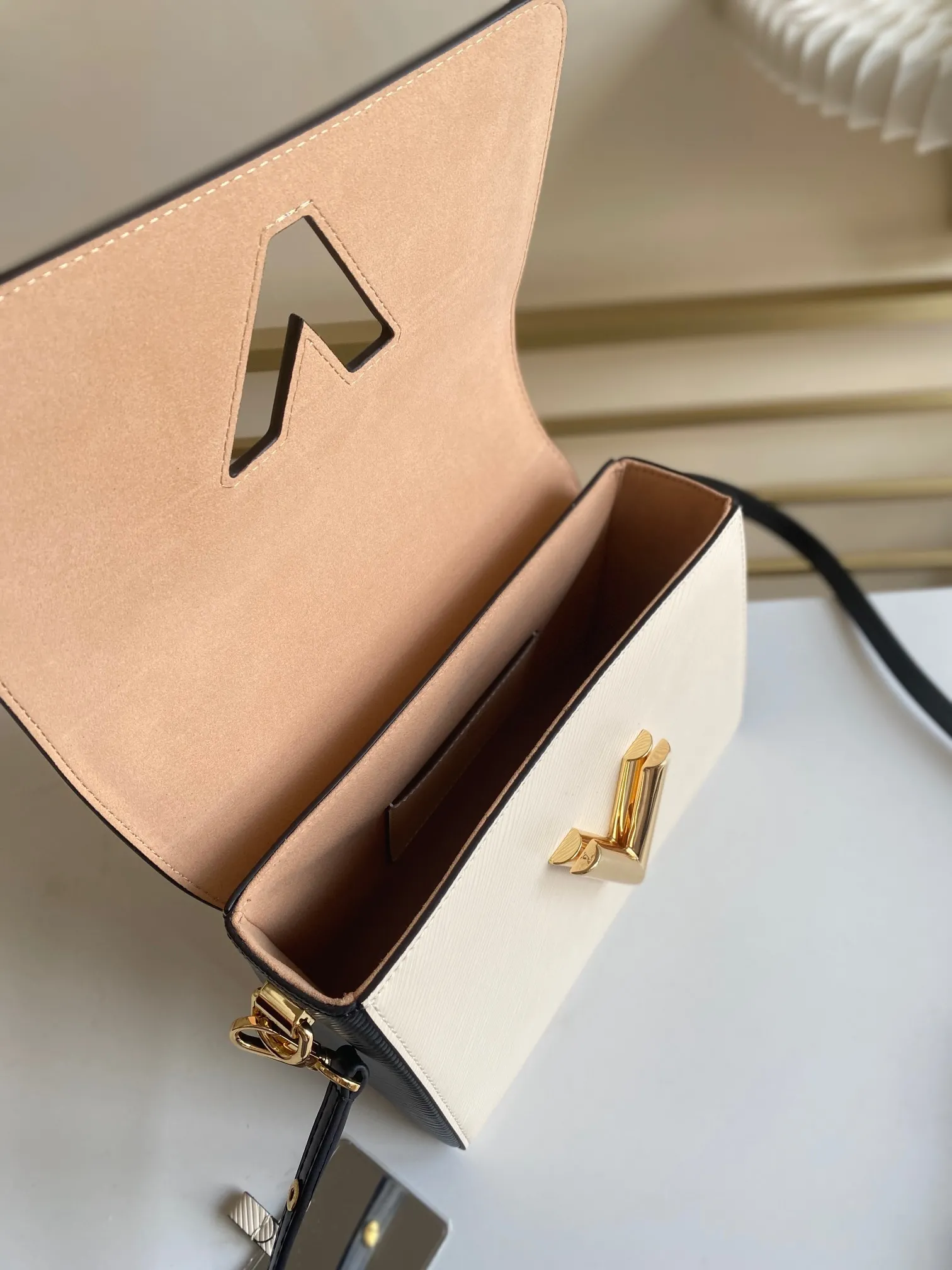 Louis Vuitton Twist PM M58546 - 图片 8