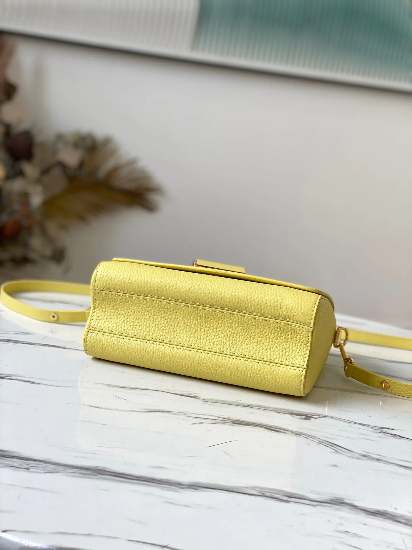 Louis Vuitton Twist PM M58571 - 图片 5