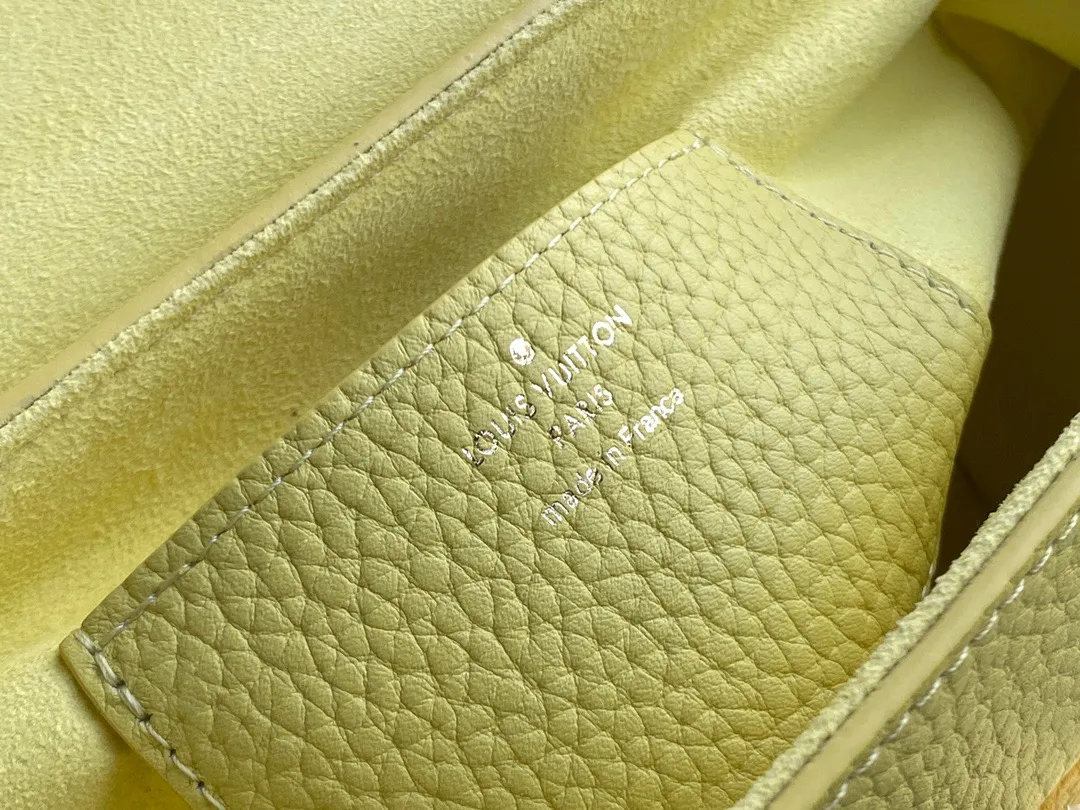 Louis Vuitton Twist PM M58571 - 图片 10