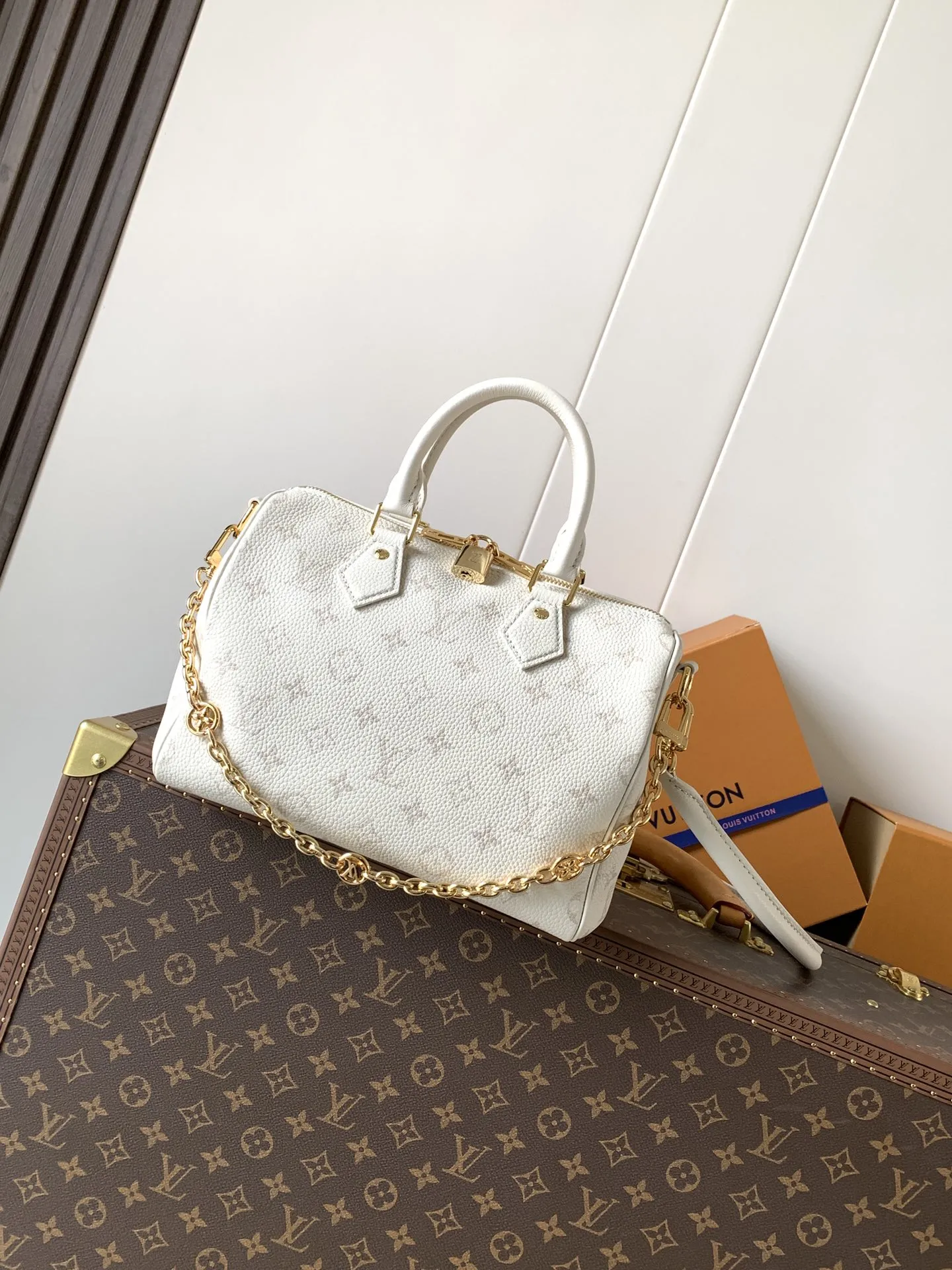 Louis Vuitton Speedy Bandouli??re 25 M26690 - Image 11