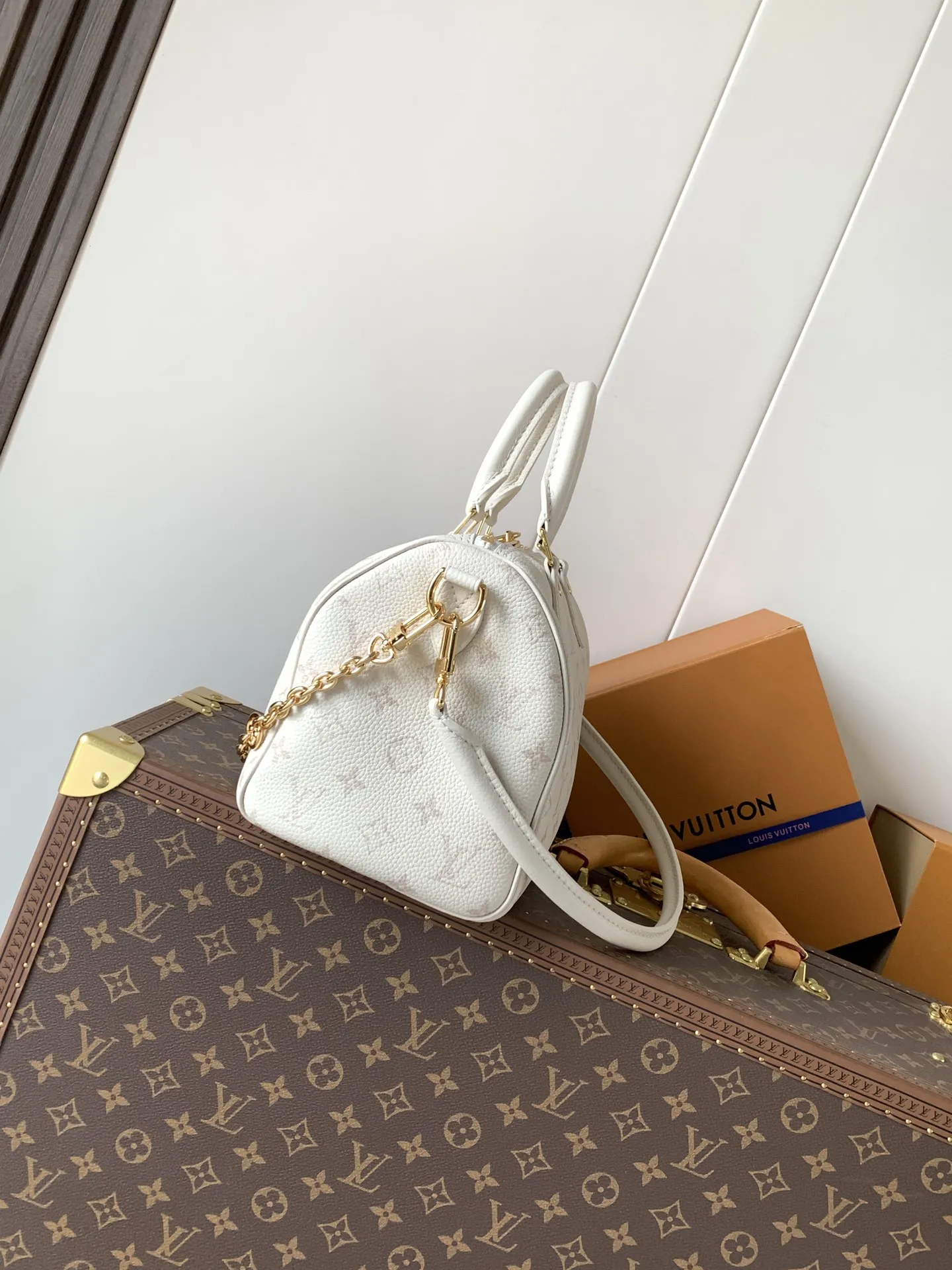 Louis Vuitton Speedy Bandouli??re 25 M26690 - Image 12