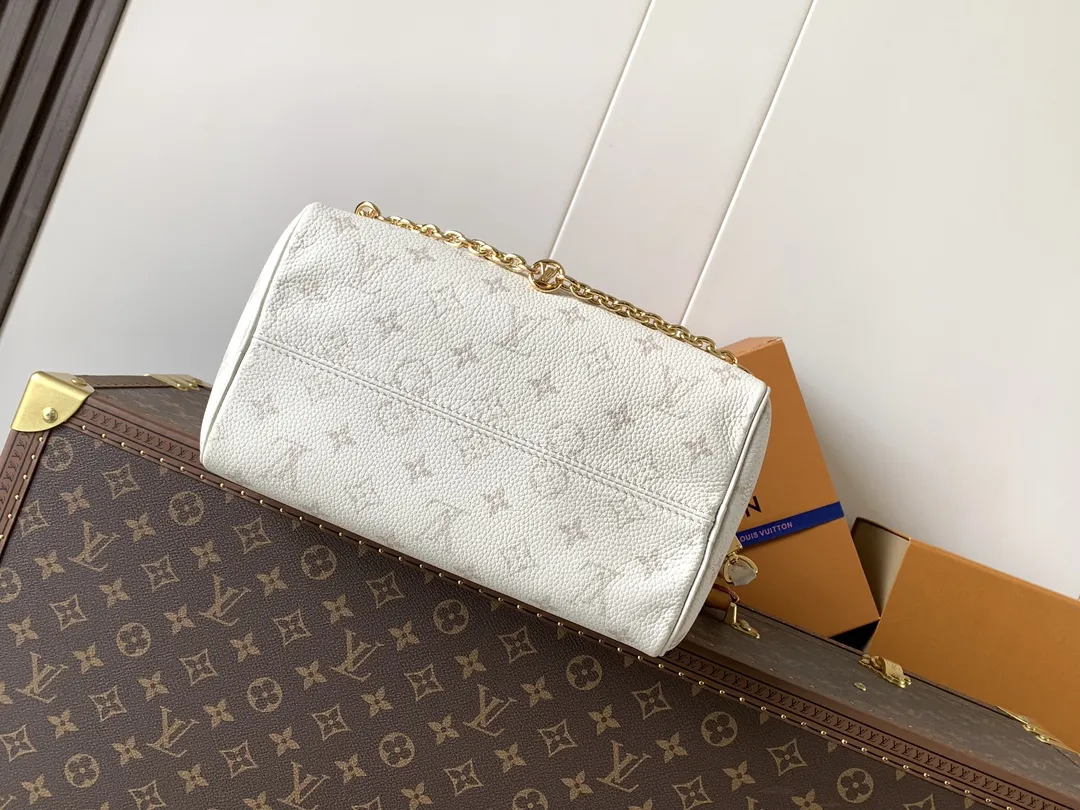 Louis Vuitton Speedy Bandouli??re 25 M26690 - Image 14