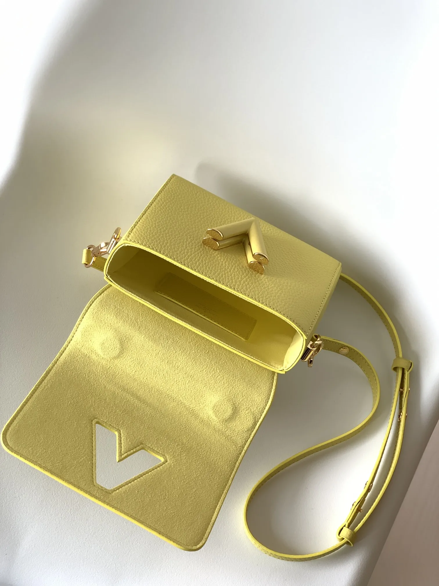Louis Vuitton Twist PM M58571 - 图片 17