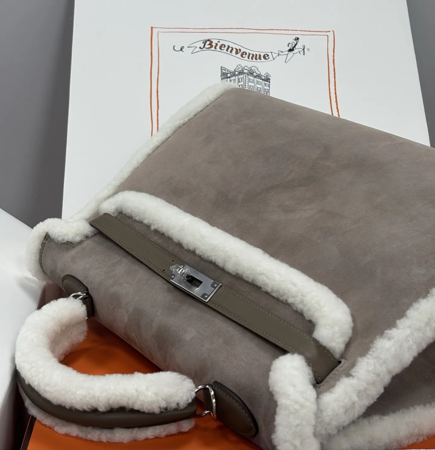 Herm??s Teddy Kelly 20 Gris Caillou and Etoupe Swift Palladium Hardware - 图片 6