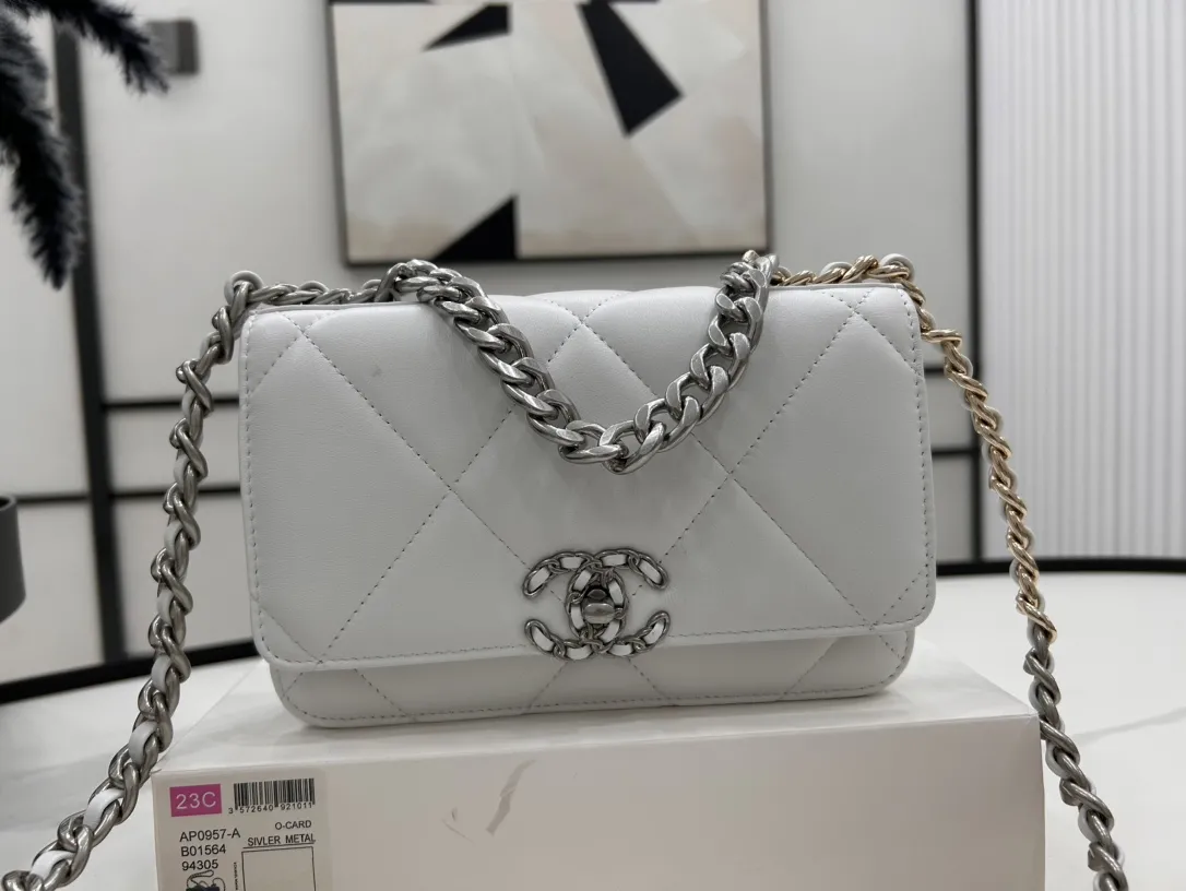 Chanel Classic Wallet On Chain AP0957 - 图片 3