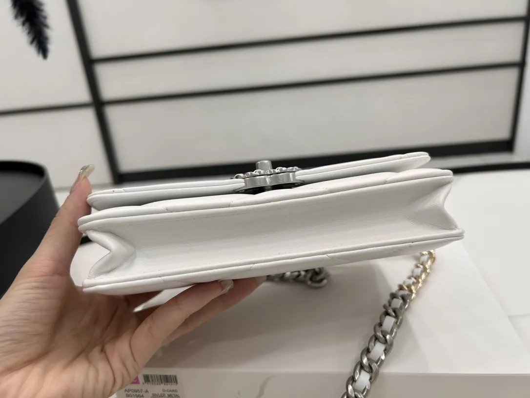 Chanel Classic Wallet On Chain AP0957 - 图片 7