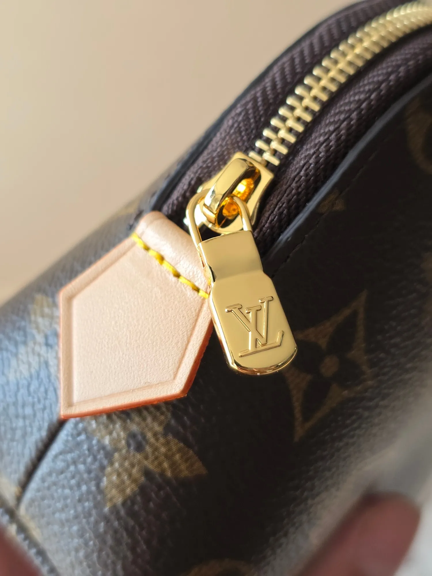 Louis Vuitton Cosmetic Pouch PM M15359 - 图片 10